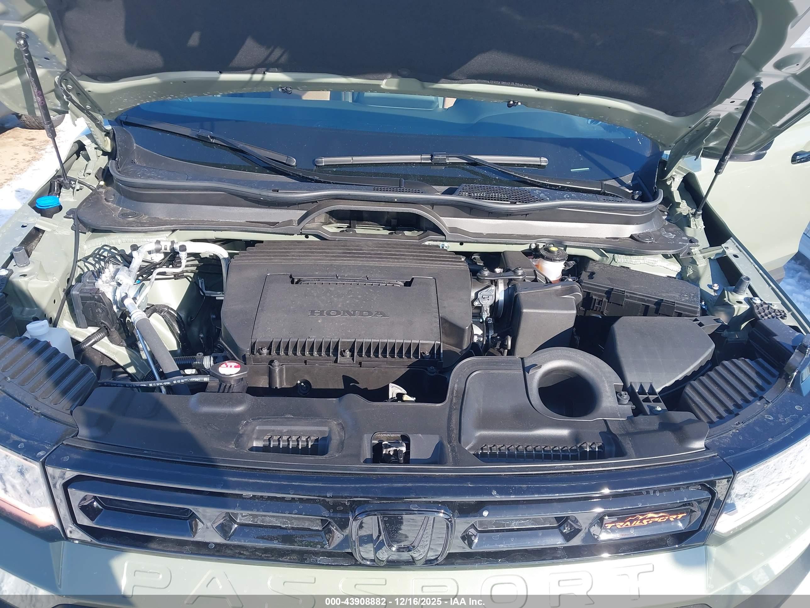 HONDA PASSPORT image 10