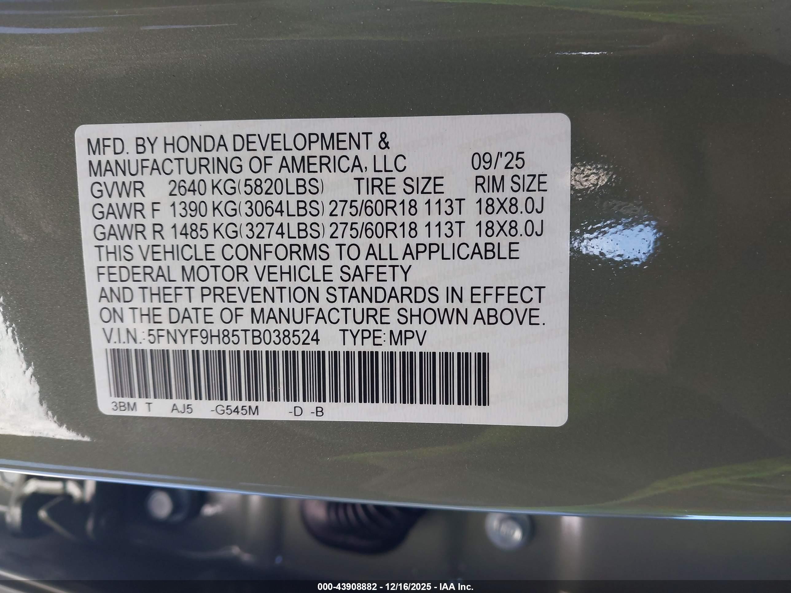 HONDA PASSPORT image 9