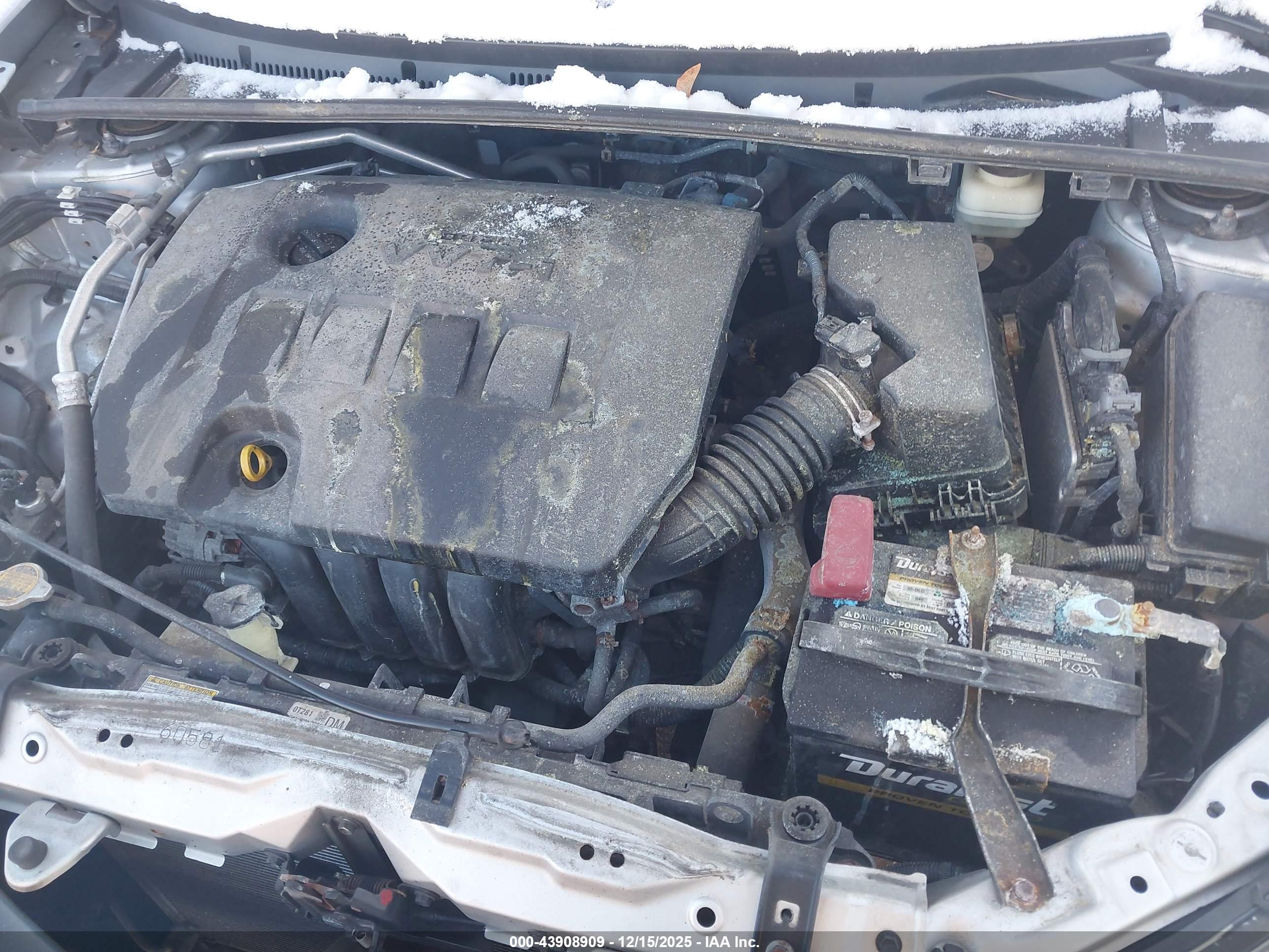 TOYOTA COROLLA image 10