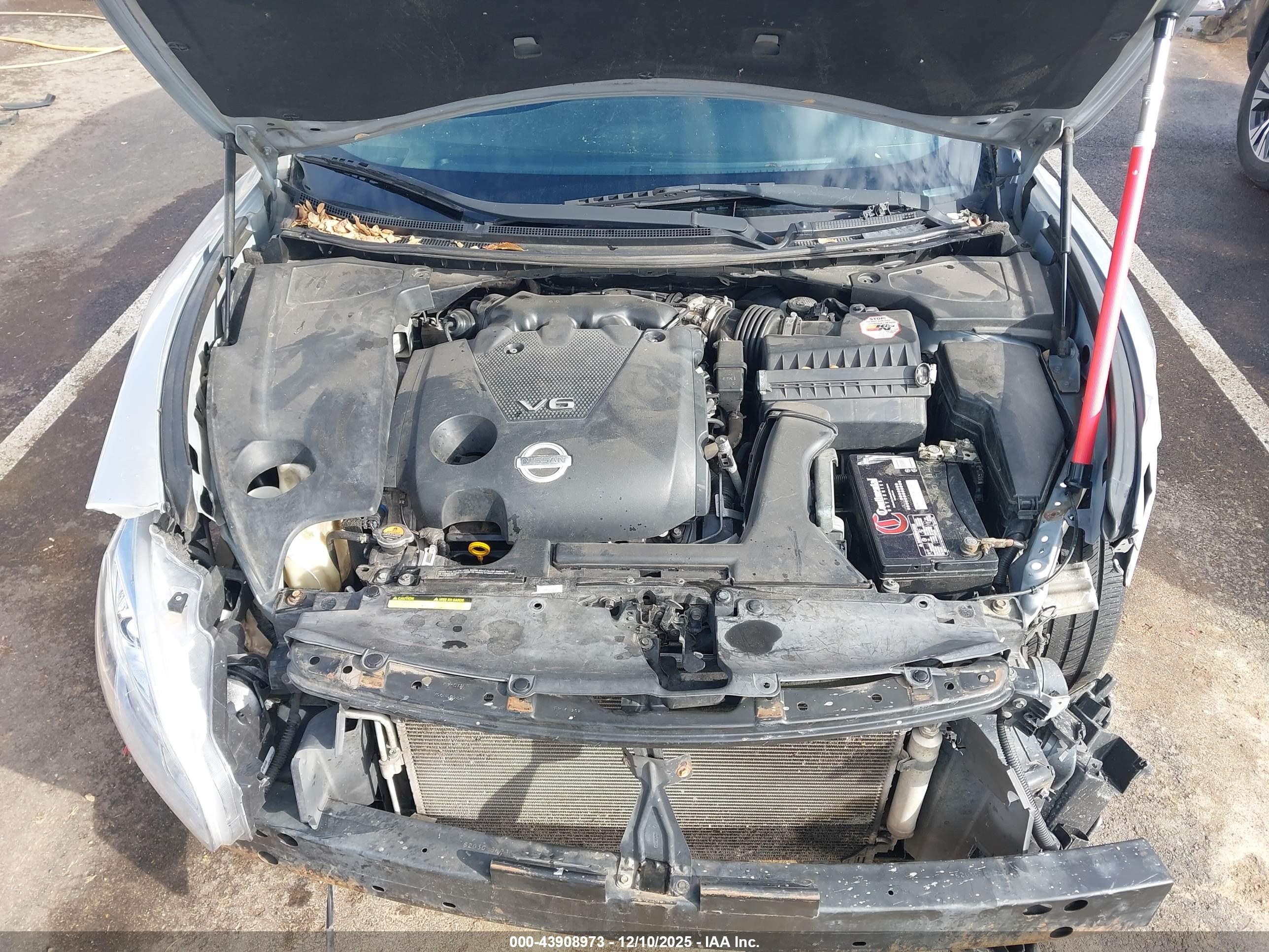 NISSAN MAXIMA image 10