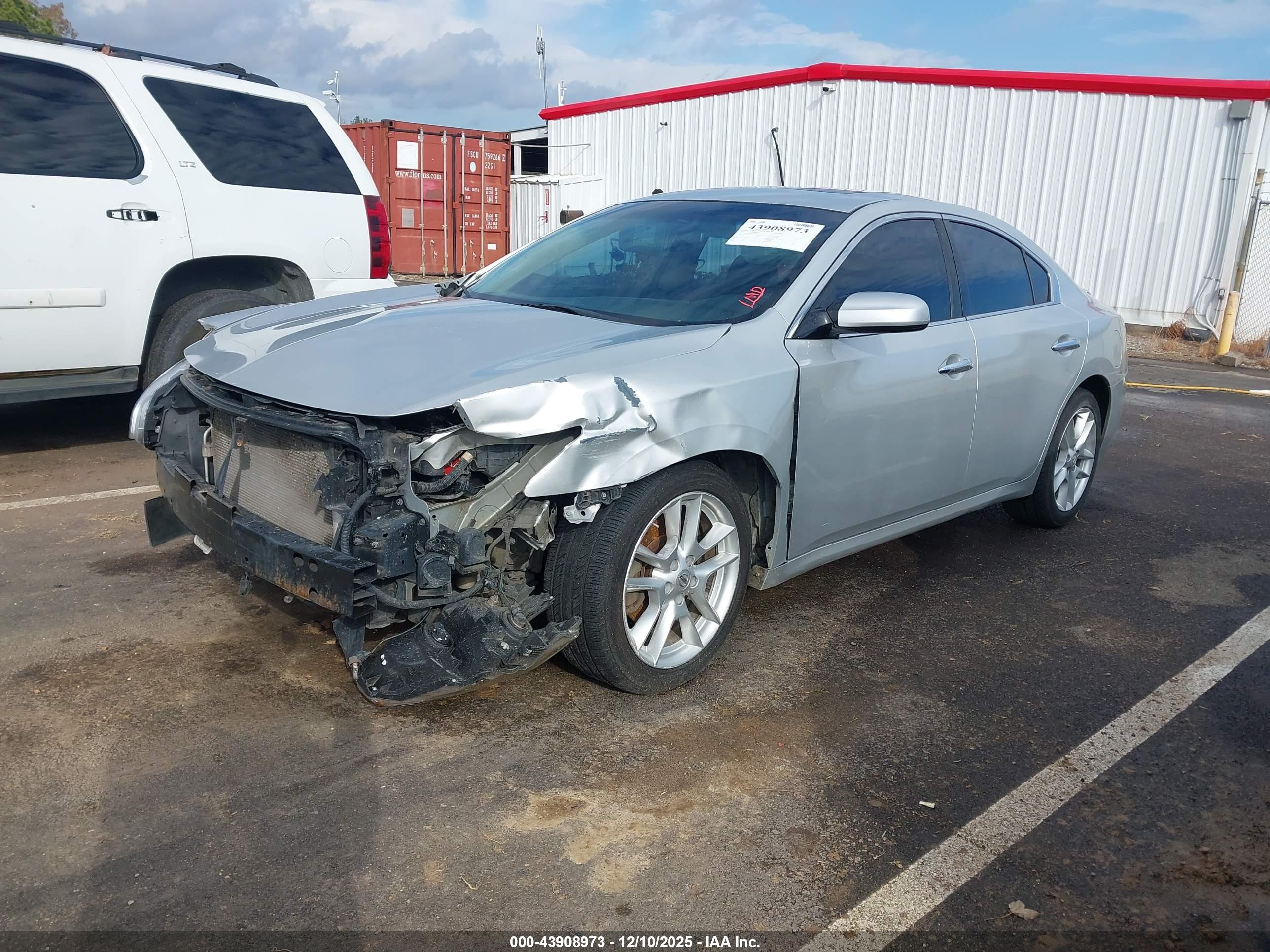NISSAN MAXIMA image 2