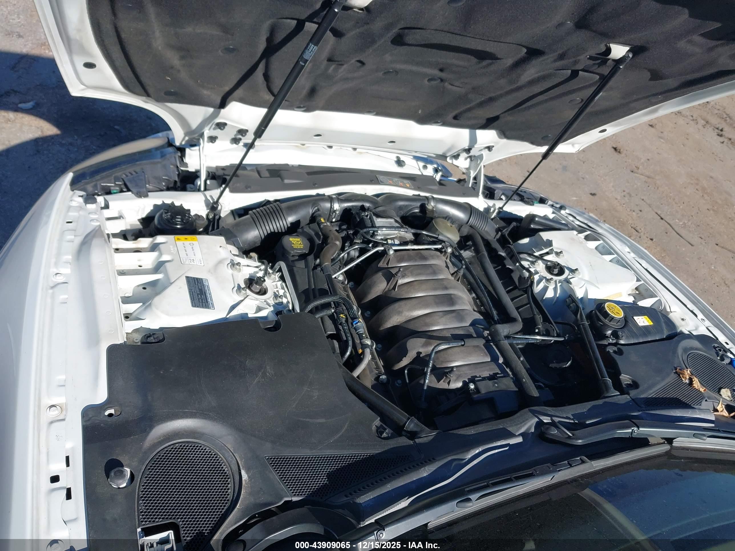 JAGUAR XK image 10