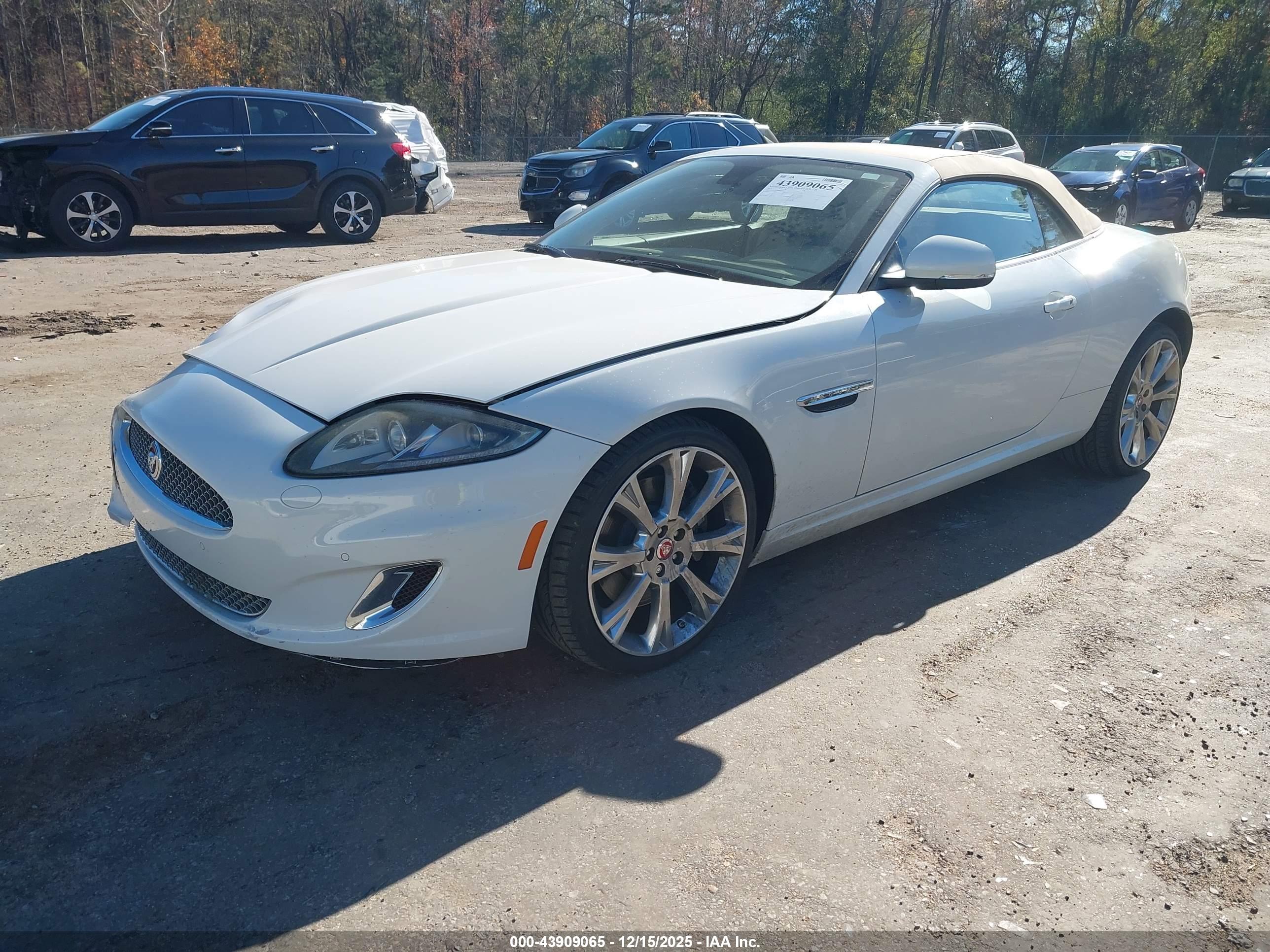 JAGUAR XK image 2