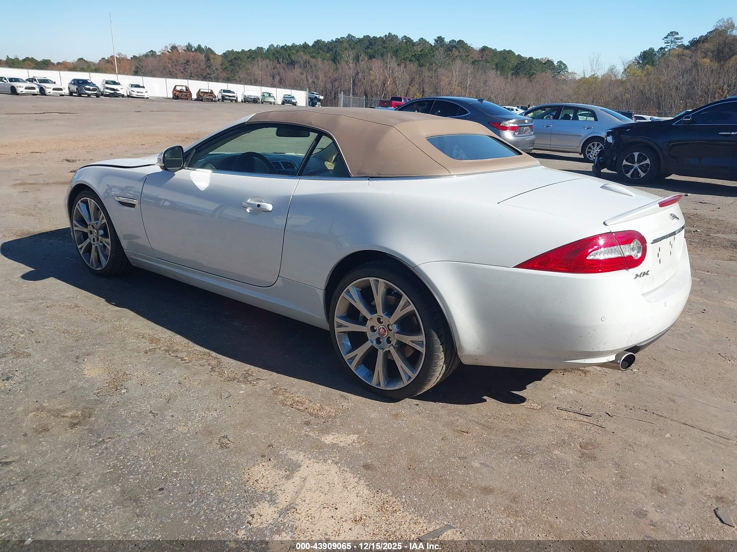JAGUAR XK image 3