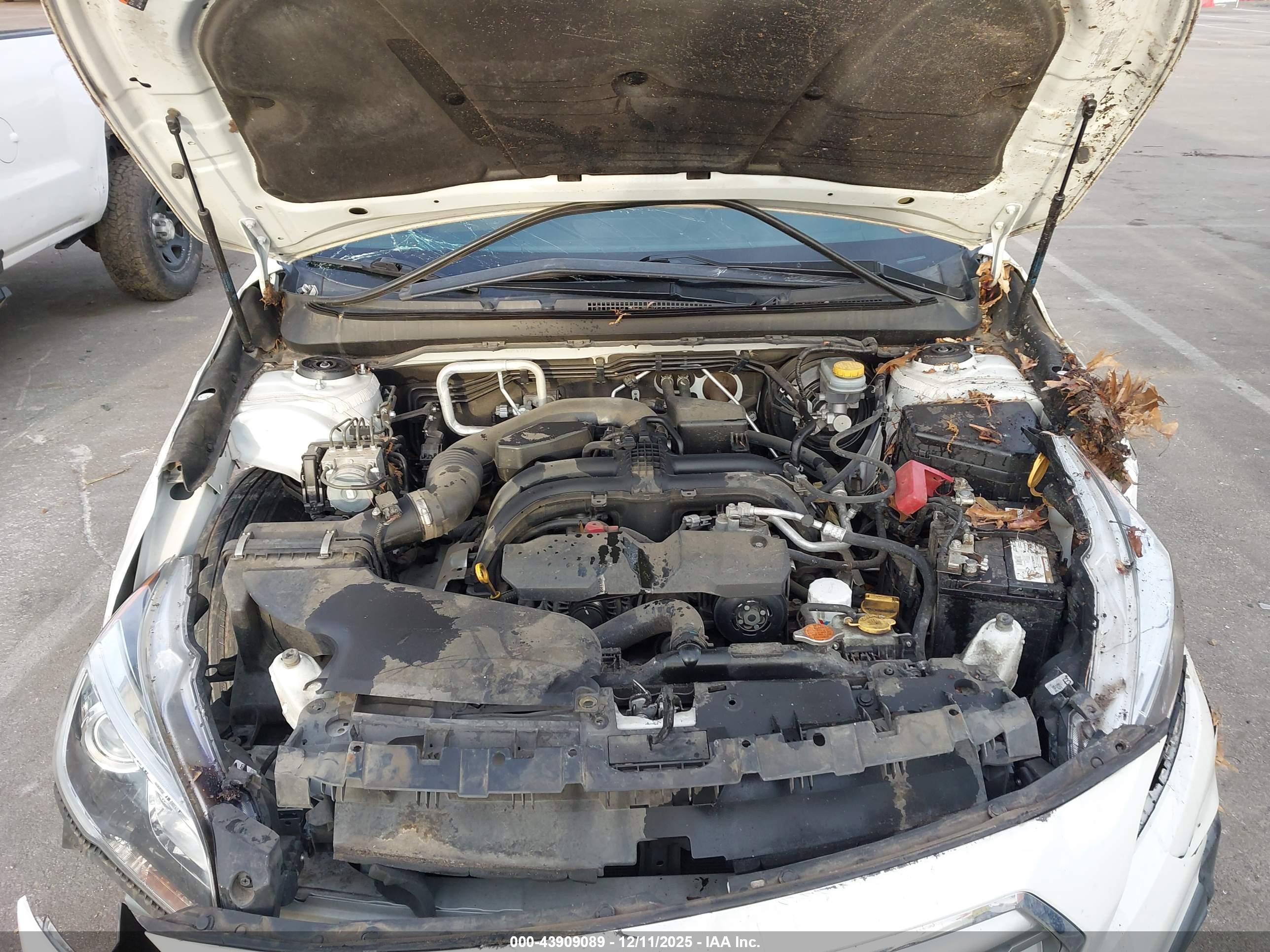 SUBARU OUTBACK image 10