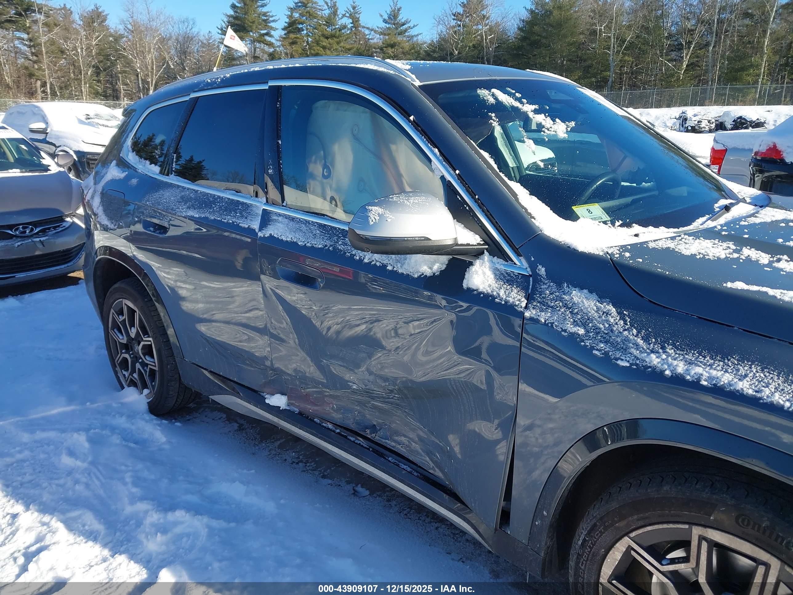 BMW X1 image 6