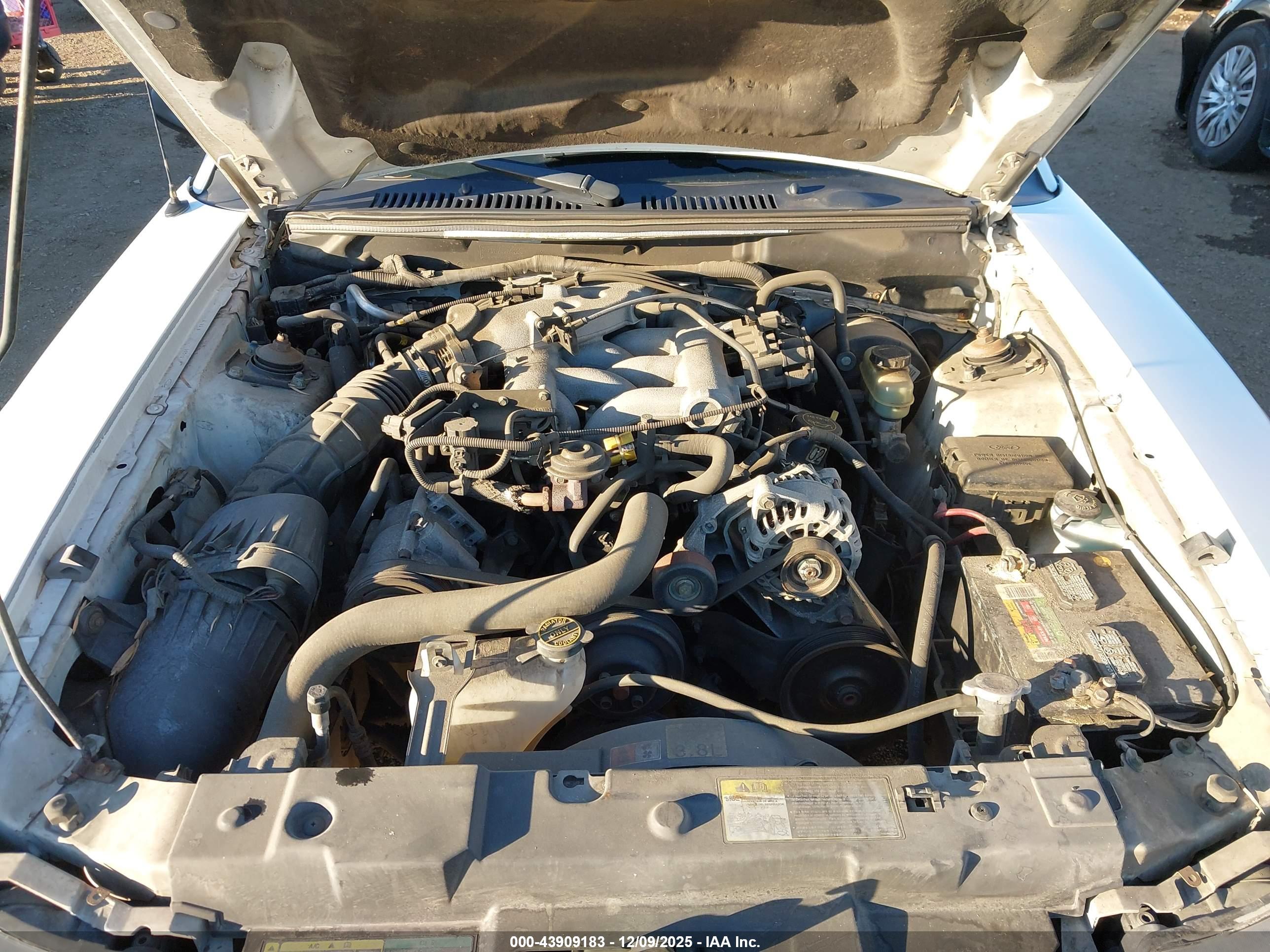 FORD MUSTANG image 10