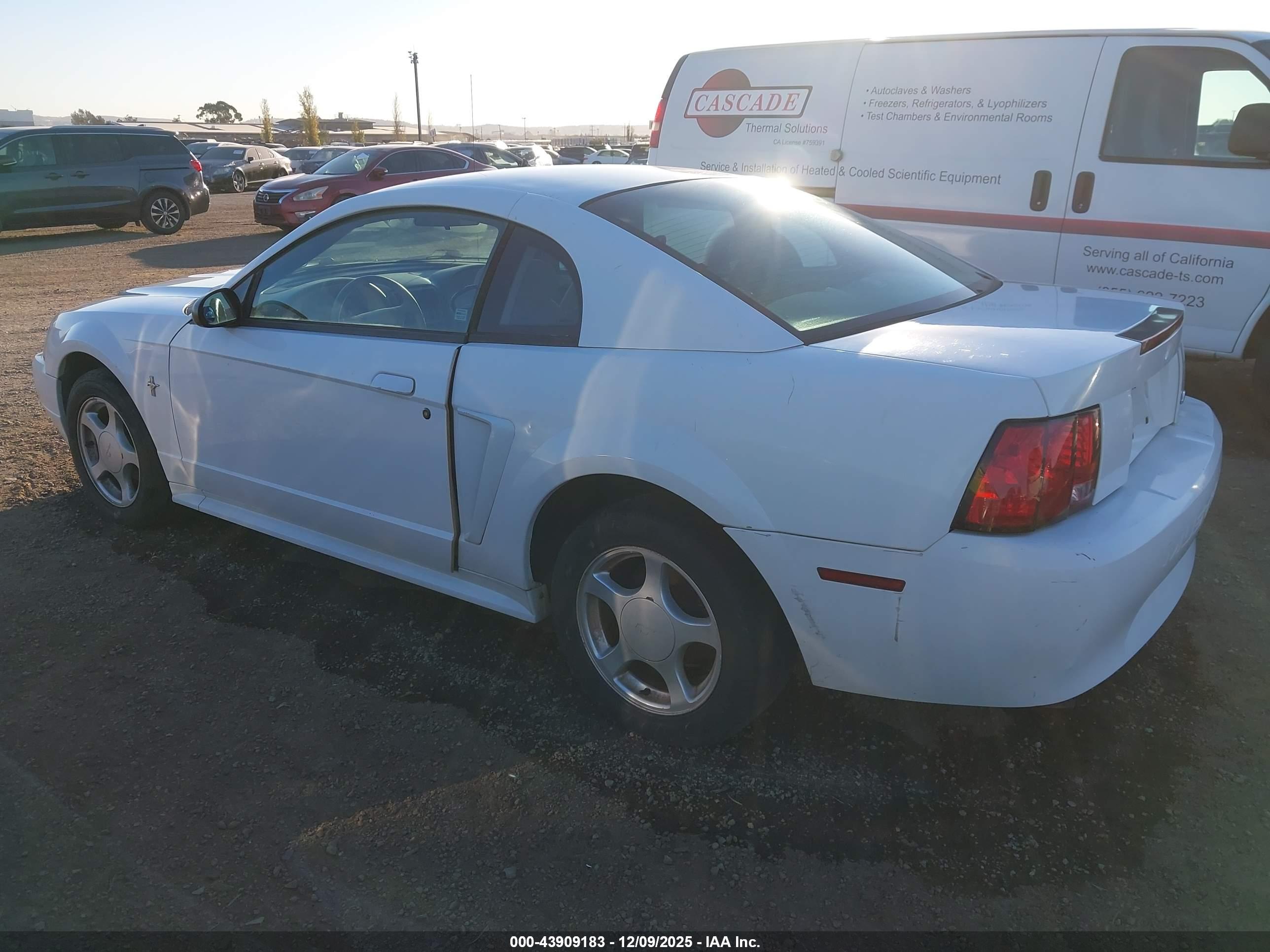 FORD MUSTANG image 3