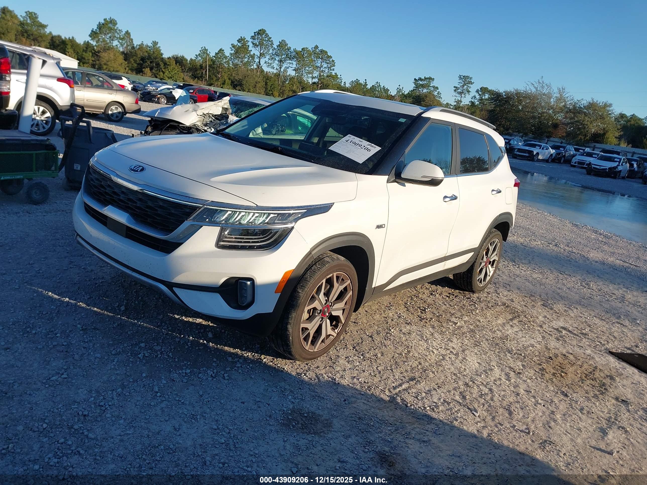 KIA SELTOS image 2