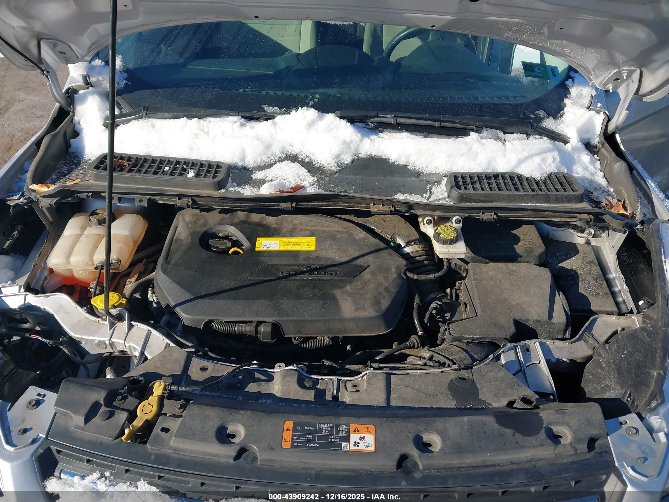 FORD ESCAPE image 10