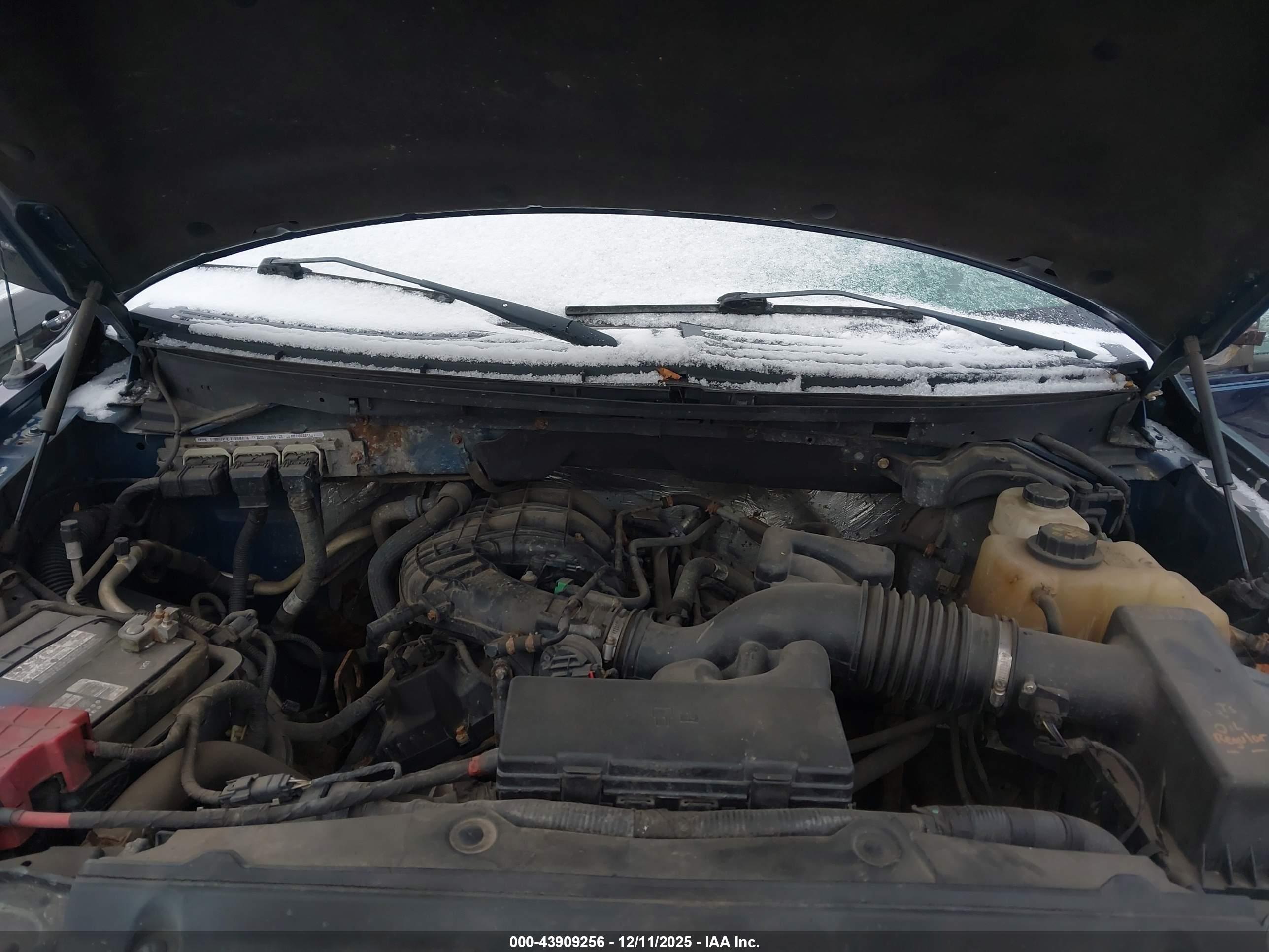 FORD F-150 image 10