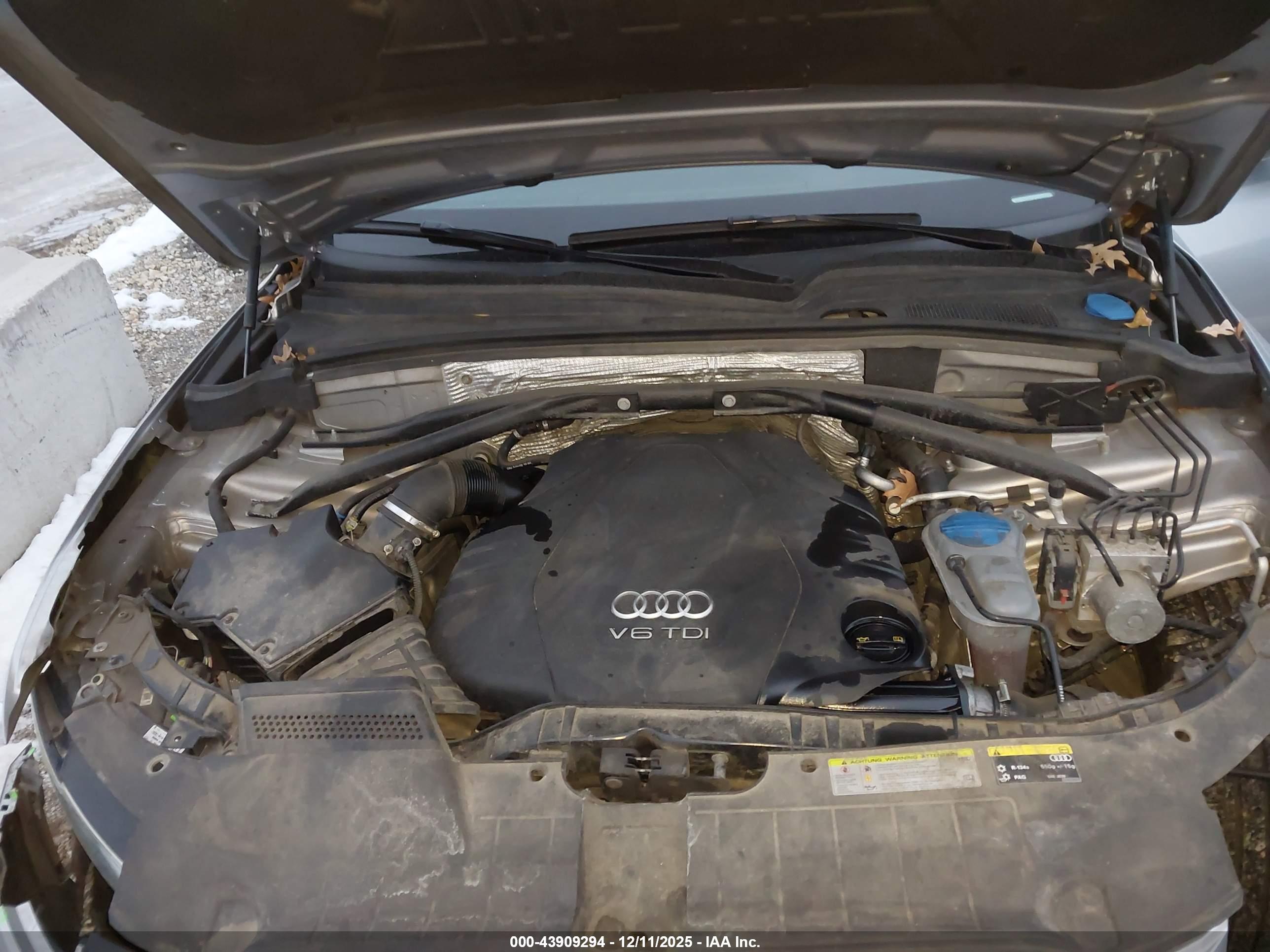 AUDI Q5 image 10
