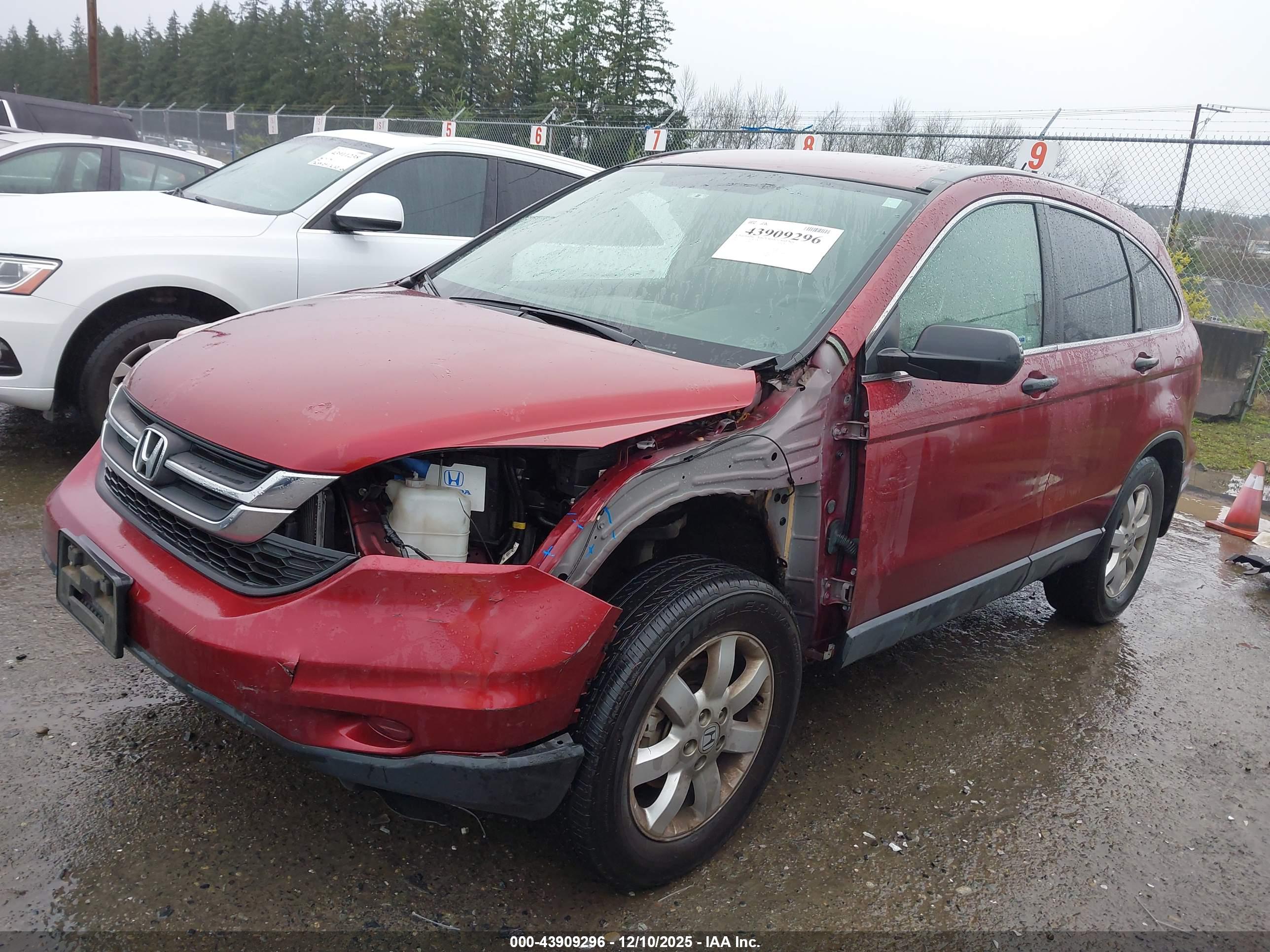 HONDA CR-V image 2