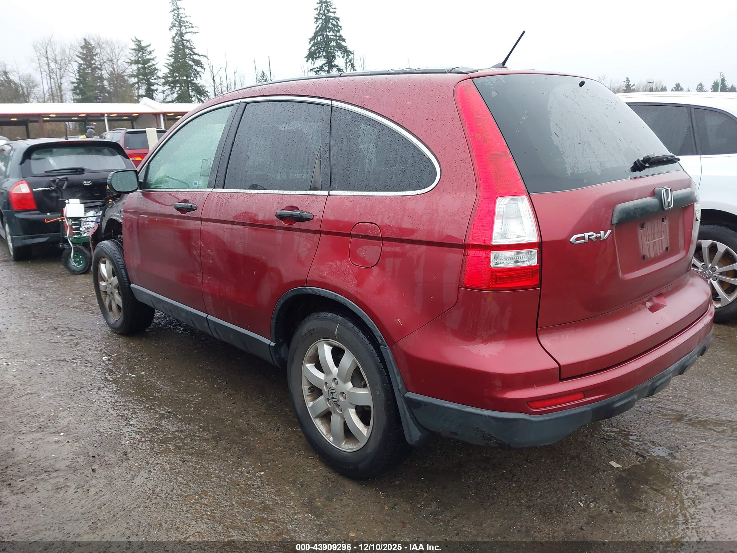 HONDA CR-V image 3
