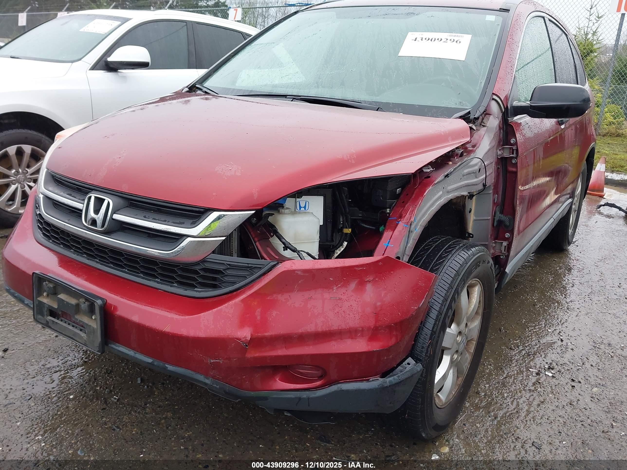 HONDA CR-V image 6