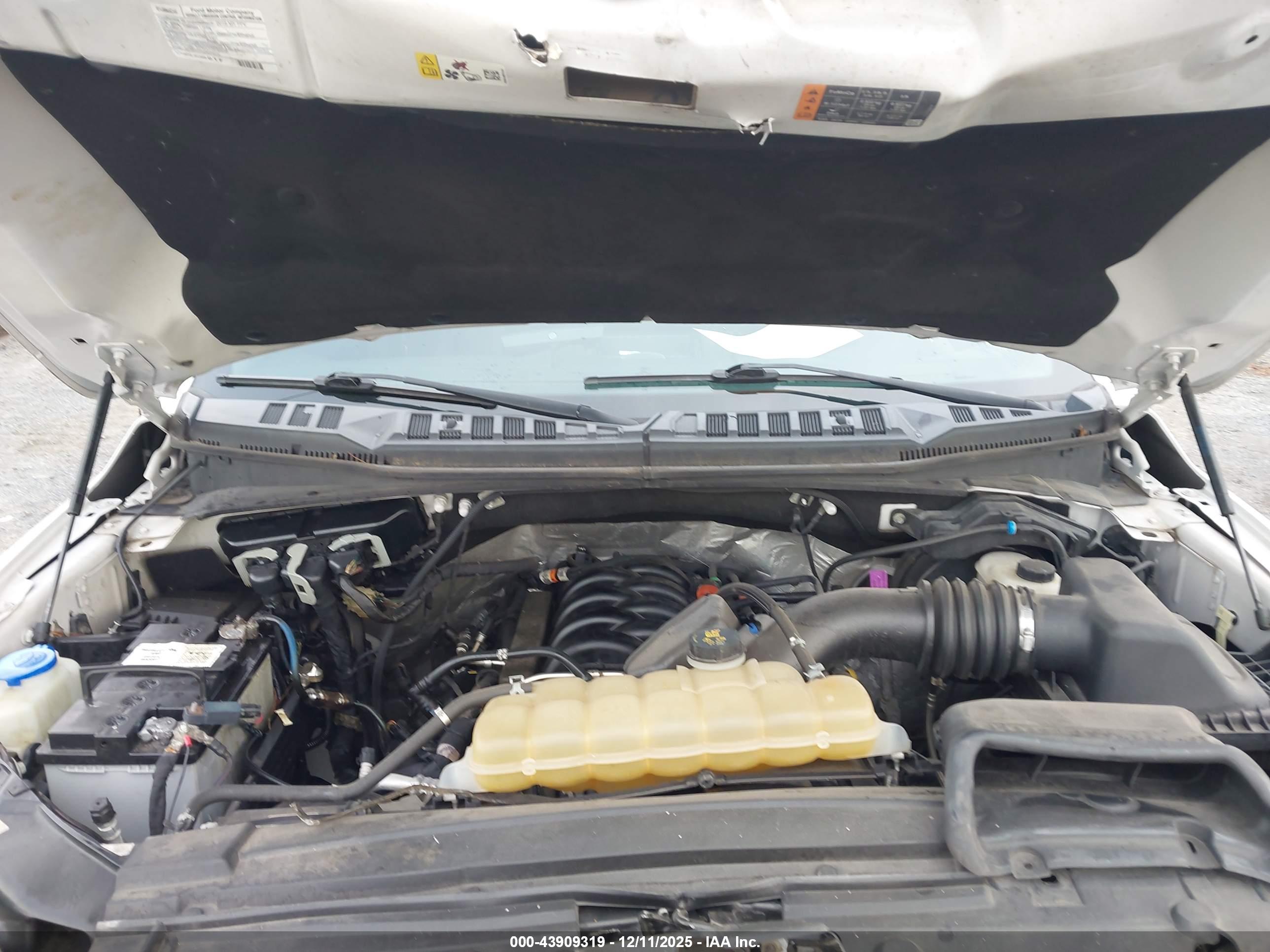 FORD F-150 image 10