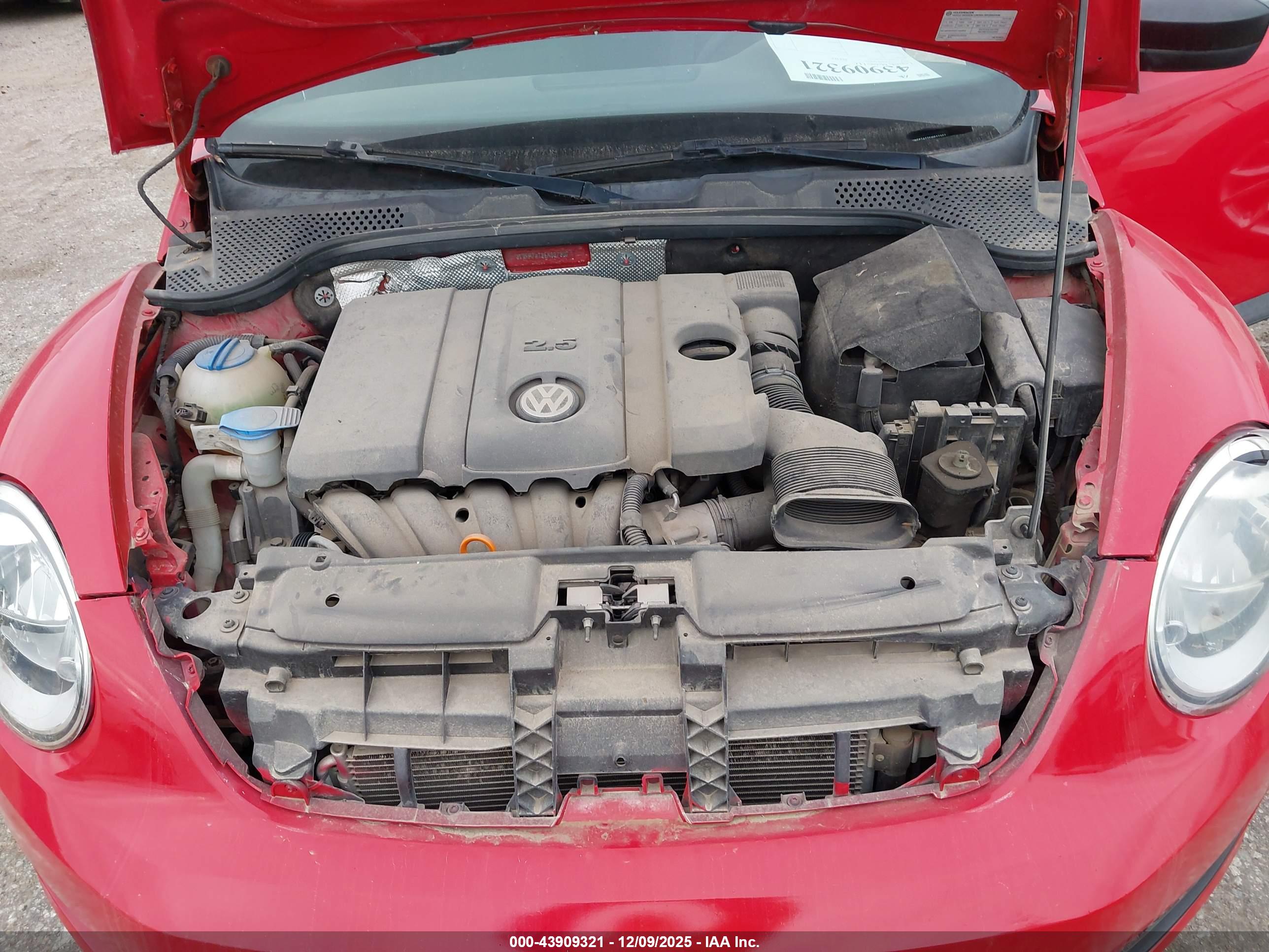 VOLKSWAGEN BEETLE image 10