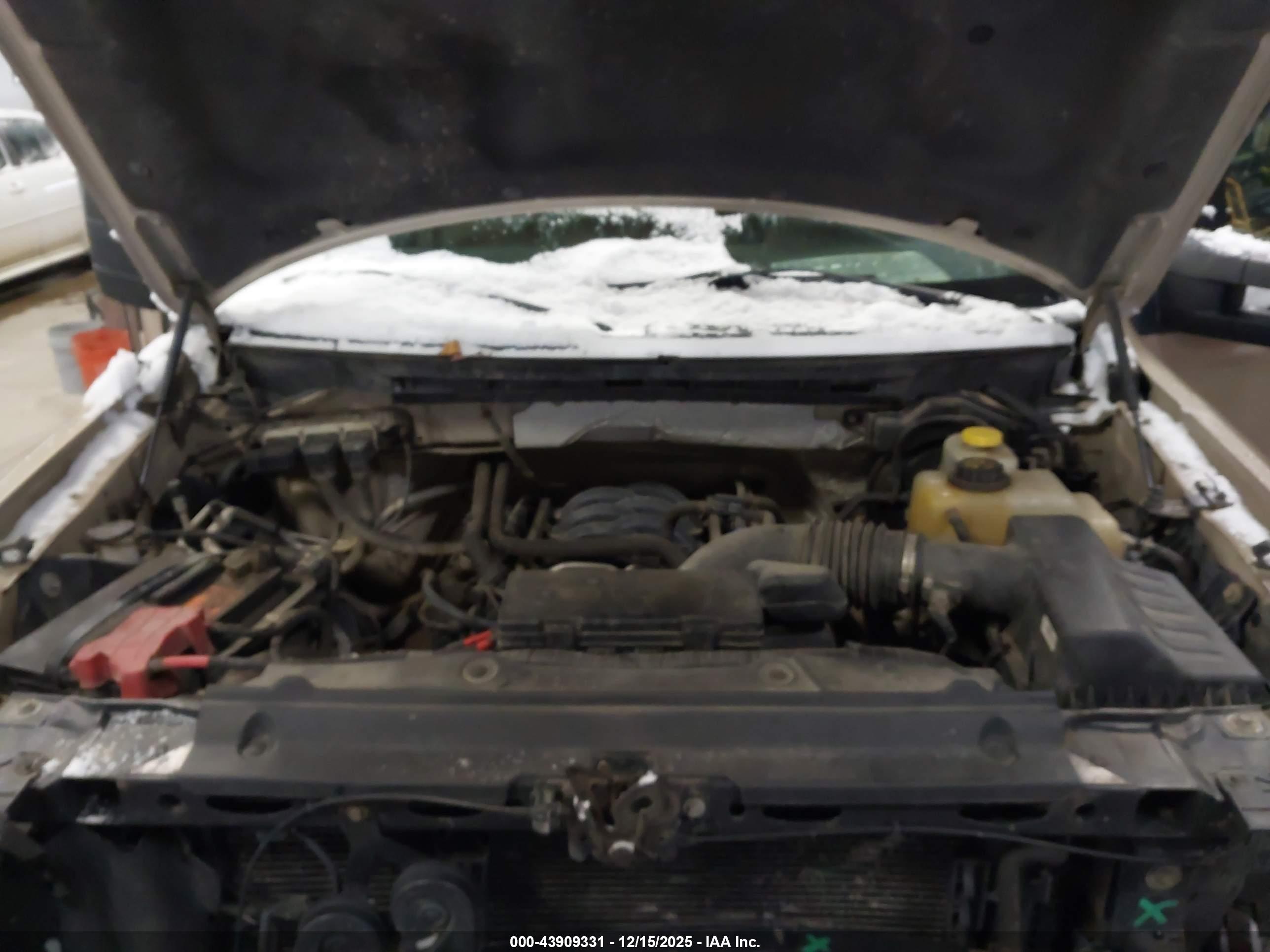 FORD F-150 image 10