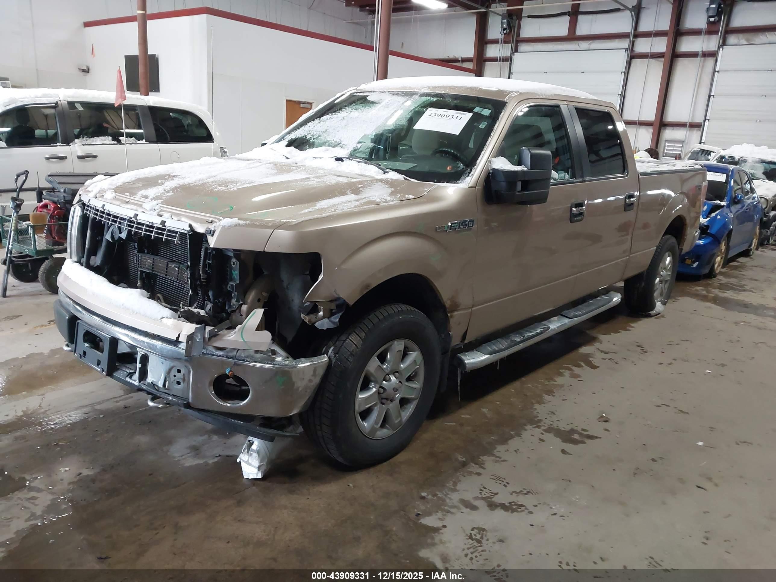 FORD F-150 image 2