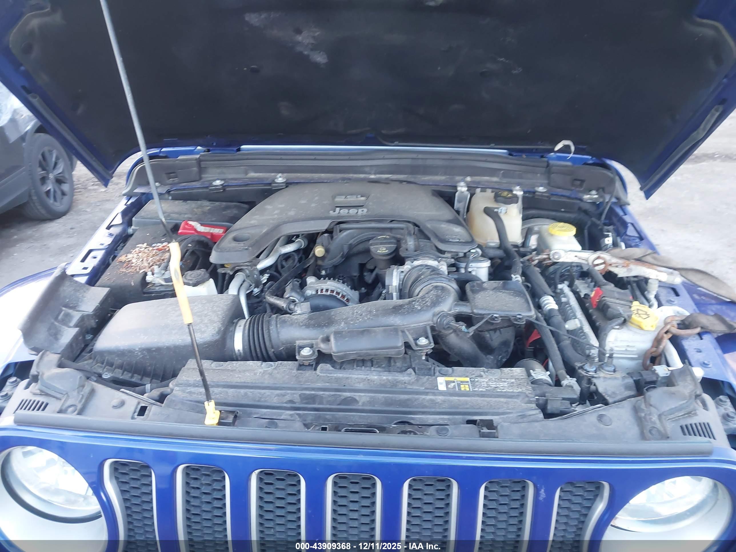 JEEP WRANGLER image 10