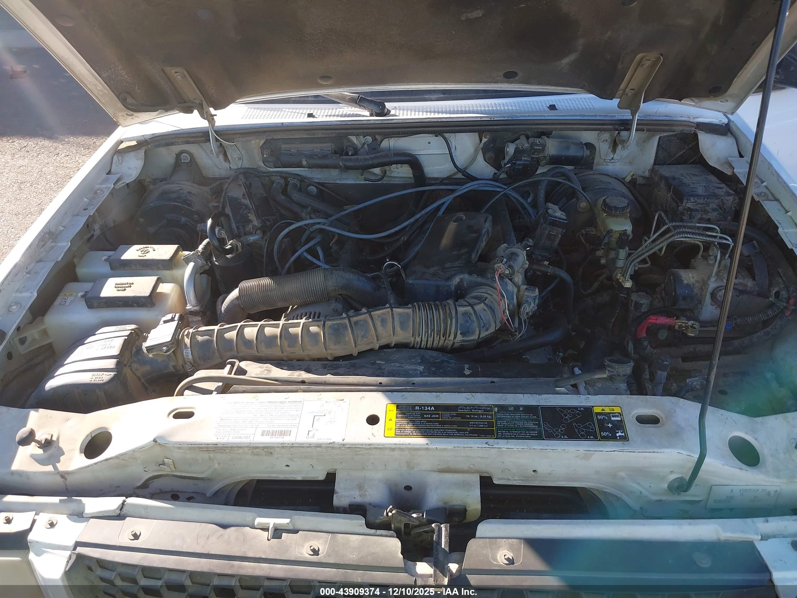 FORD RANGER image 10