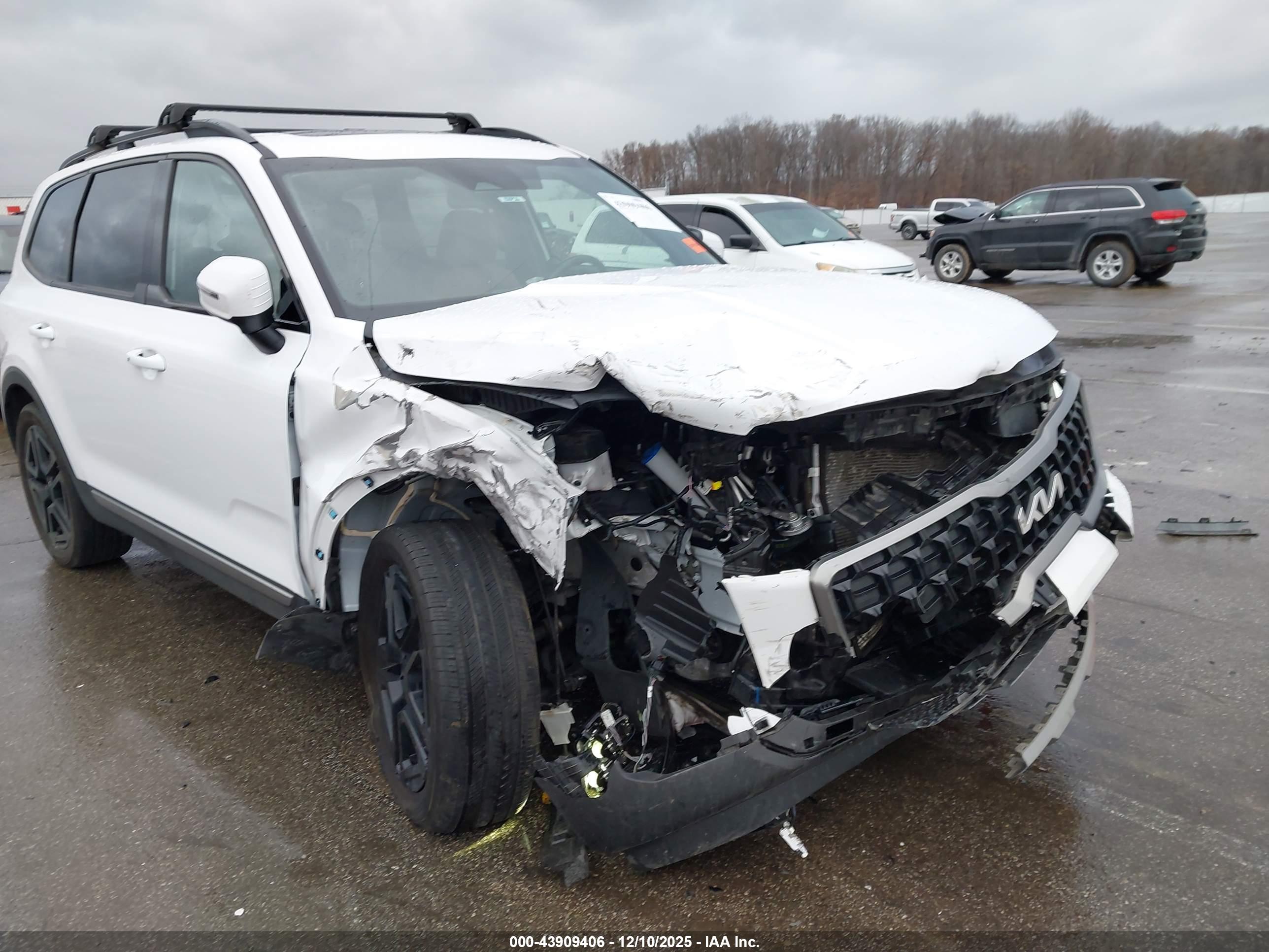 KIA TELLURIDE image 6
