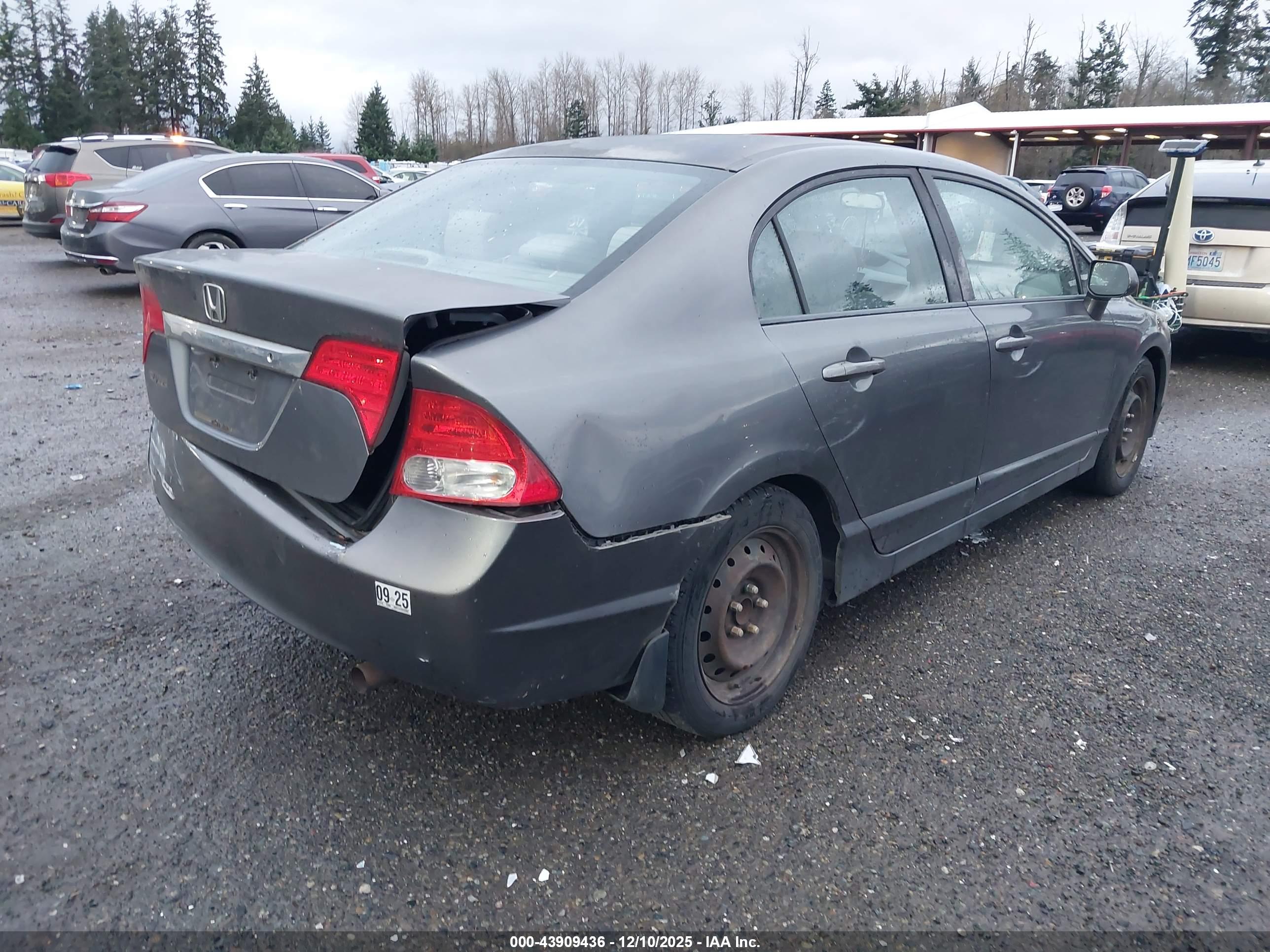 HONDA CIVIC image 4