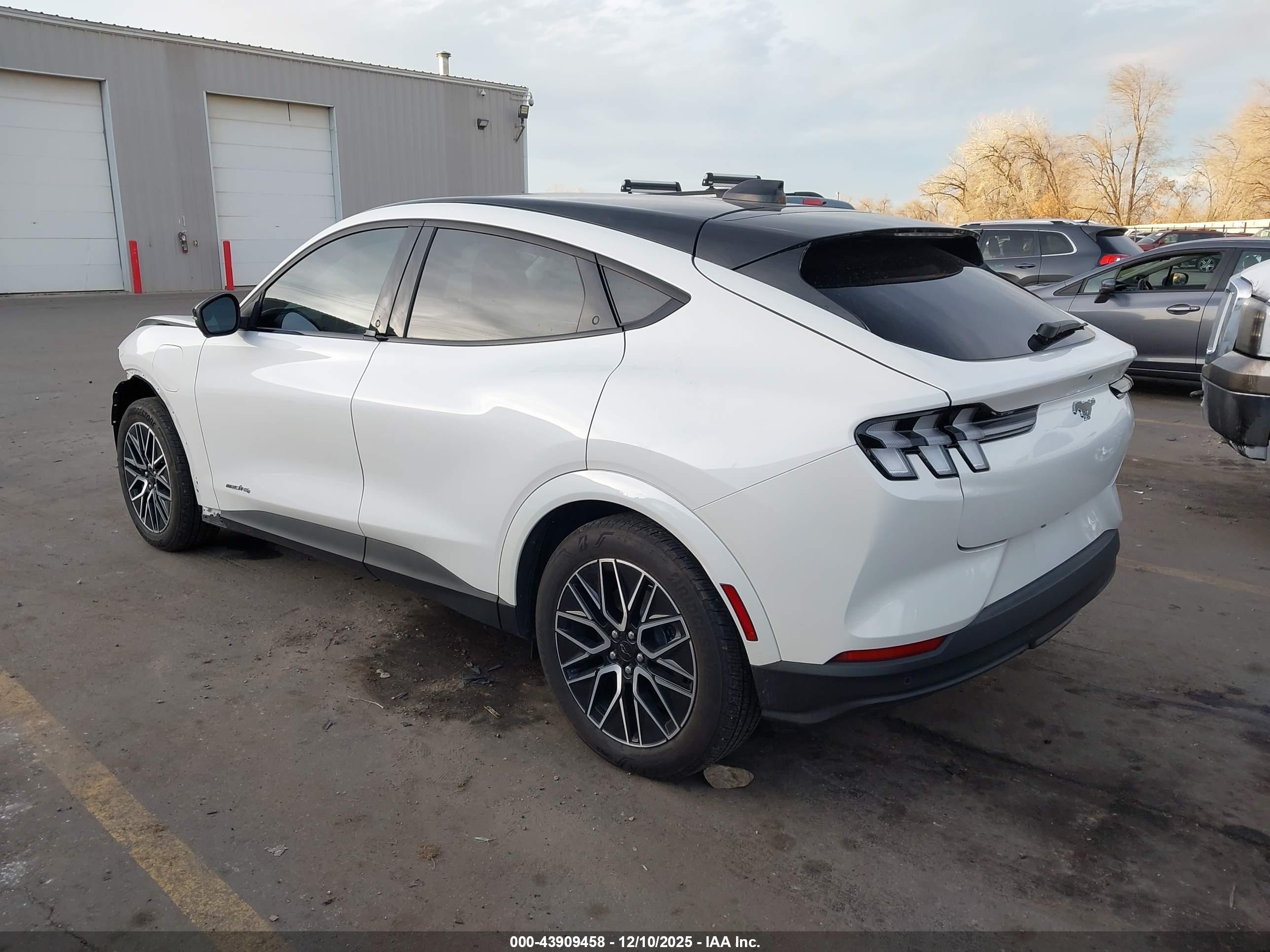 FORD MUSTANG image 3