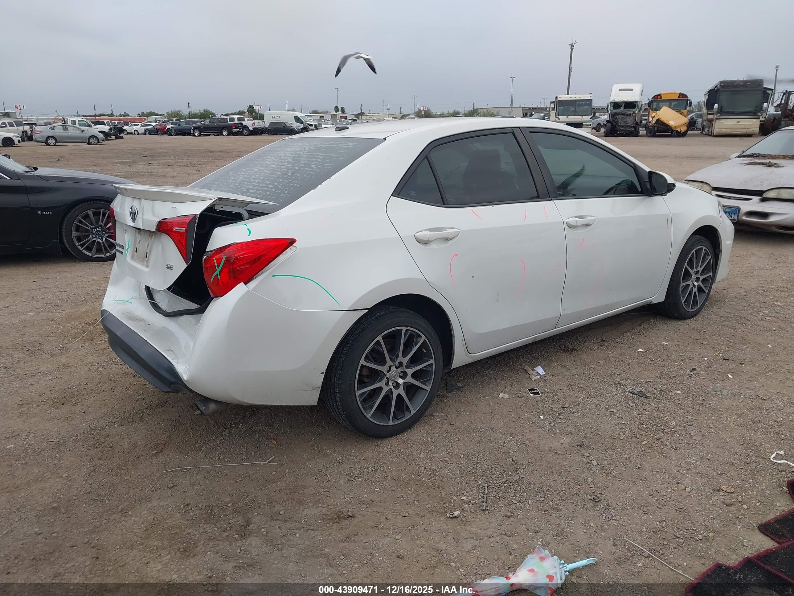 TOYOTA COROLLA image 4