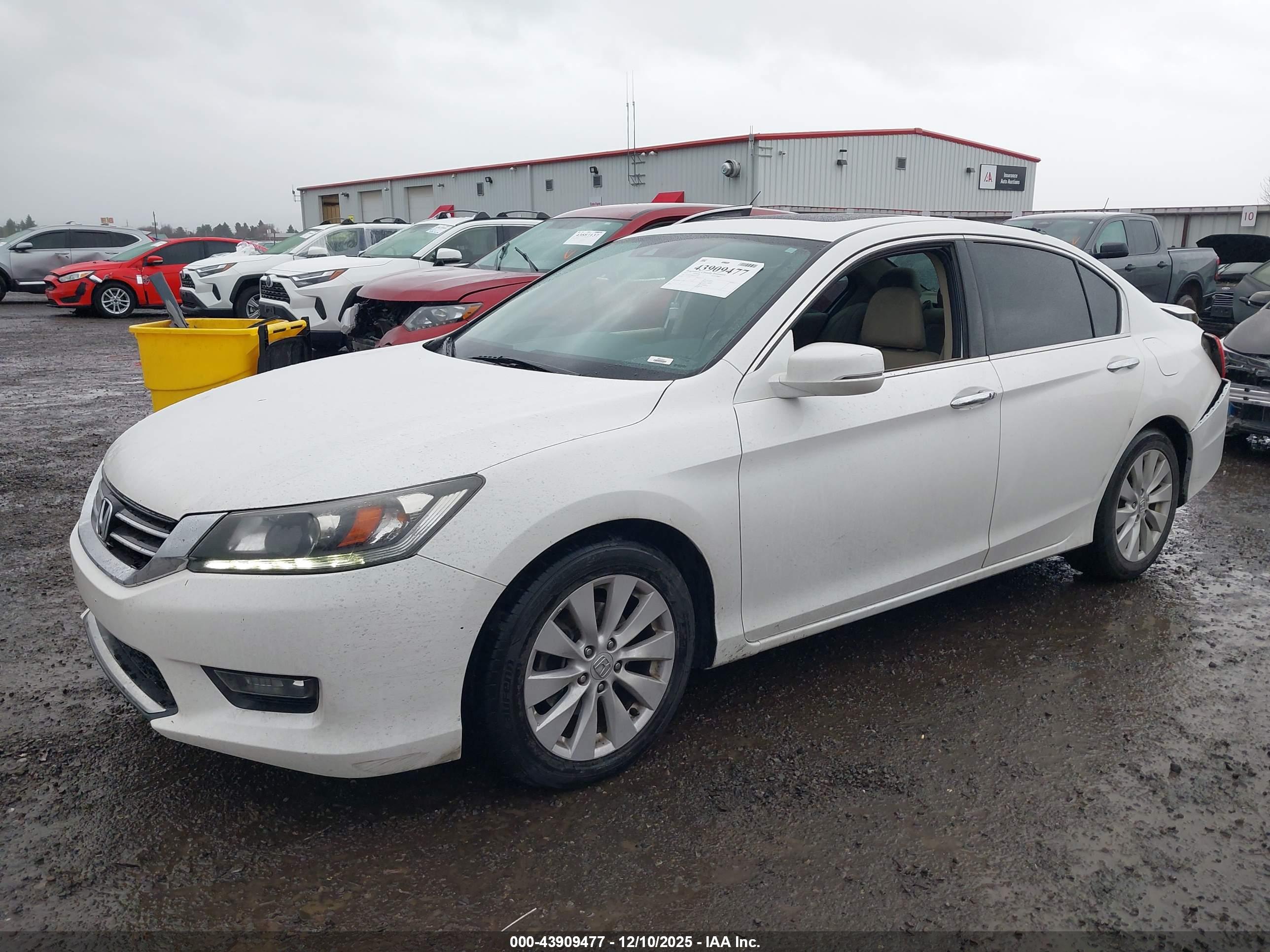 HONDA ACCORD image 2