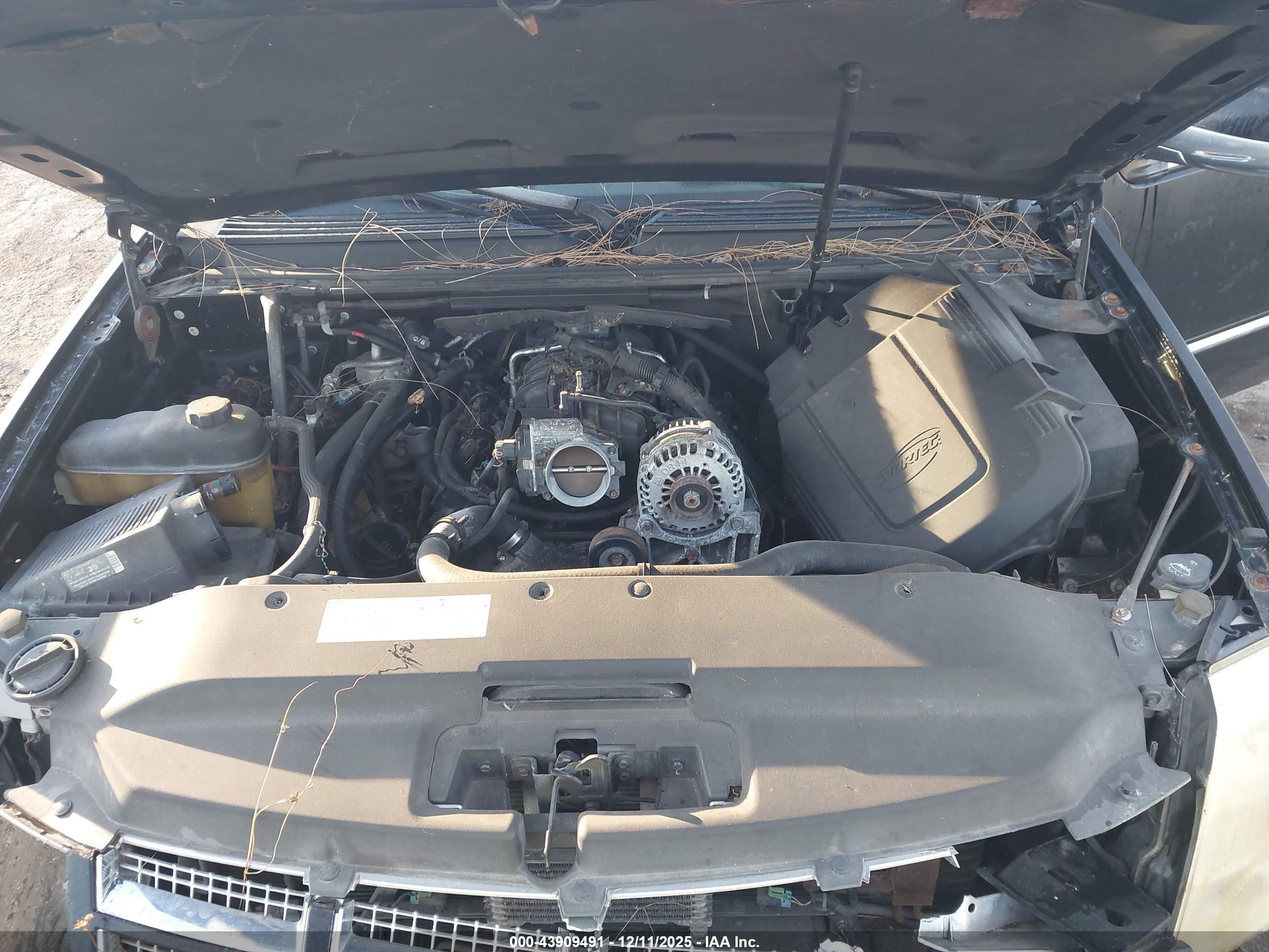 CADILLAC ESCALADE image 10