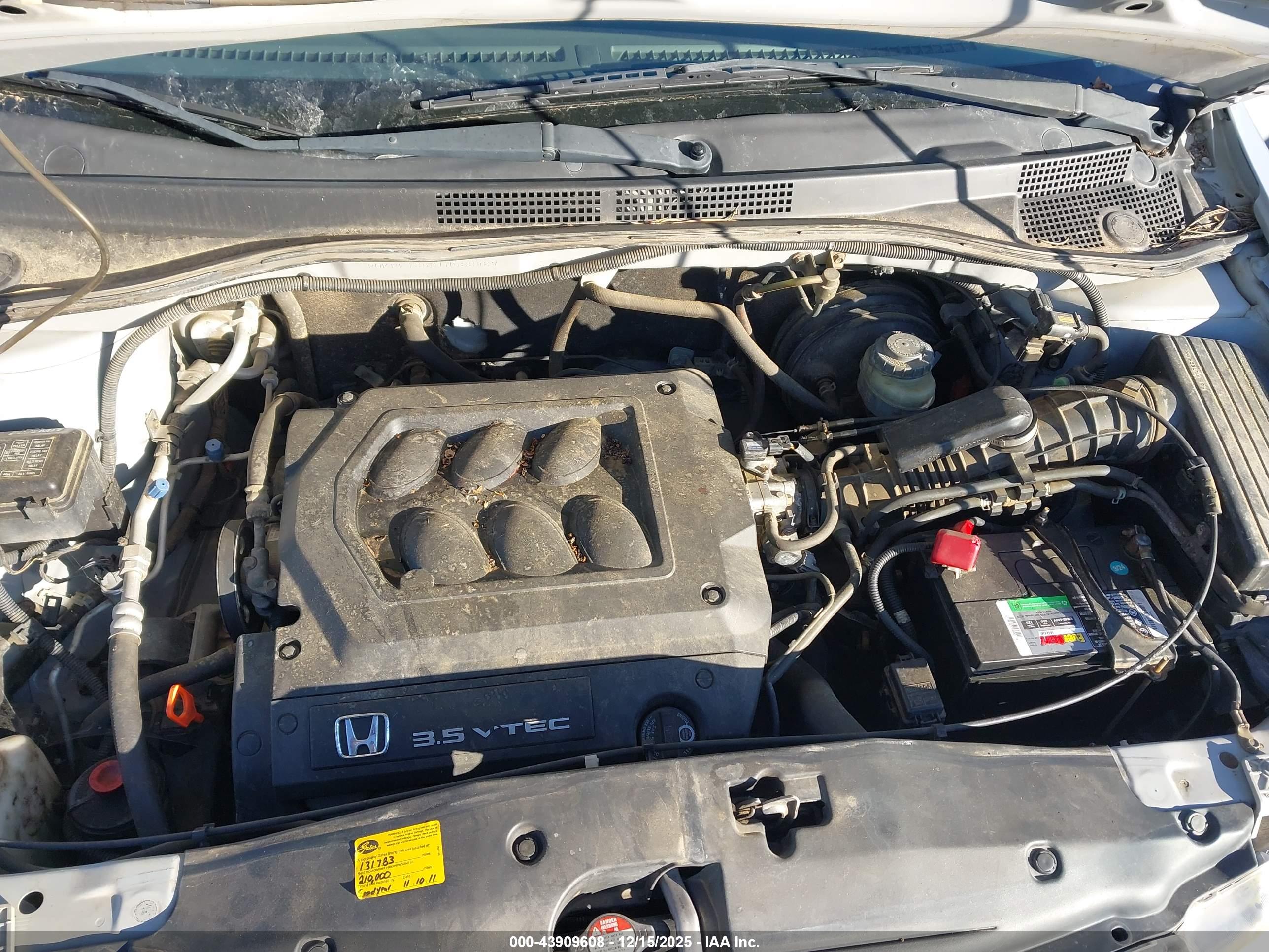 HONDA ODYSSEY image 10