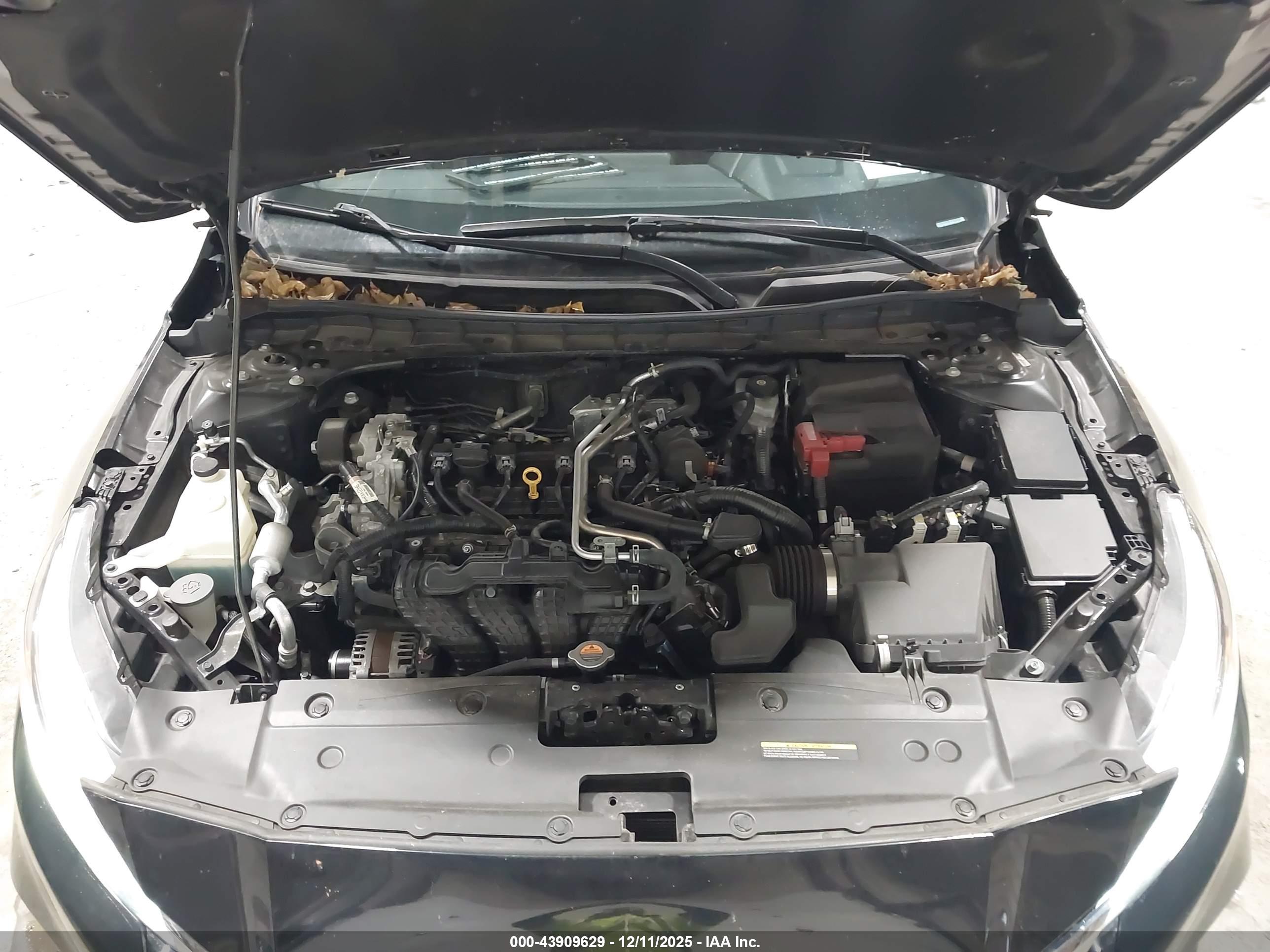 NISSAN ALTIMA image 10