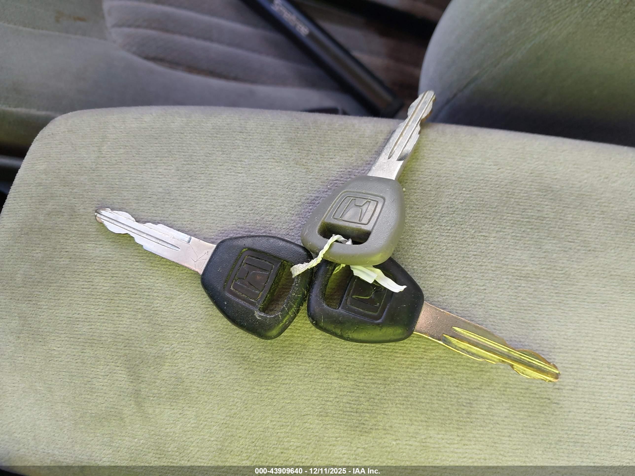 HONDA ACCORD image 11