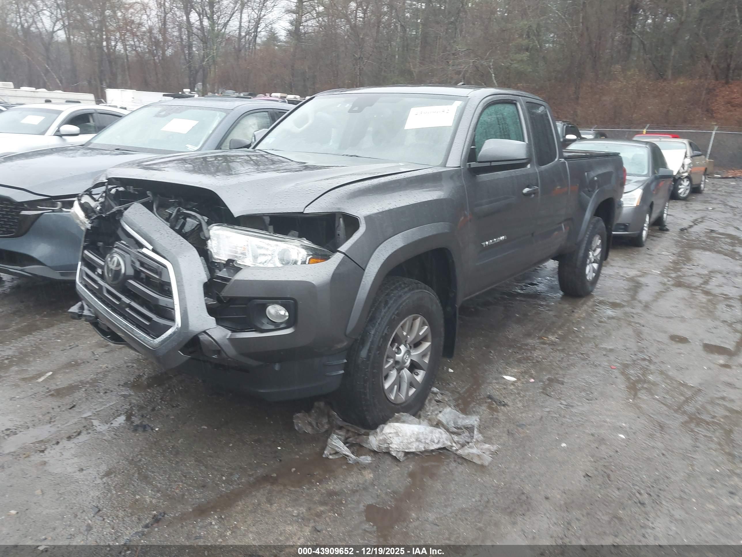 TOYOTA TACOMA image 2