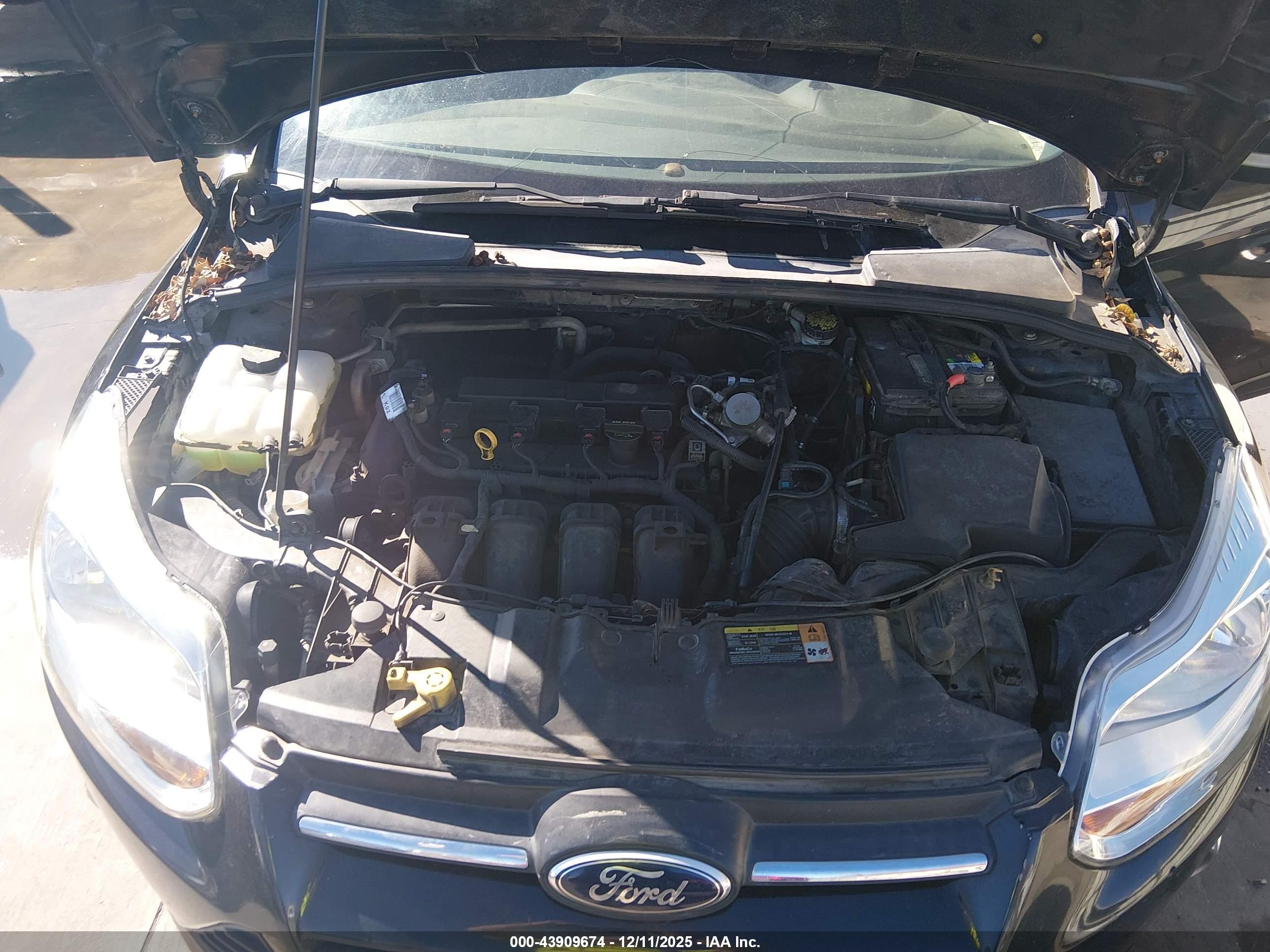 FORD FOCUS image 10