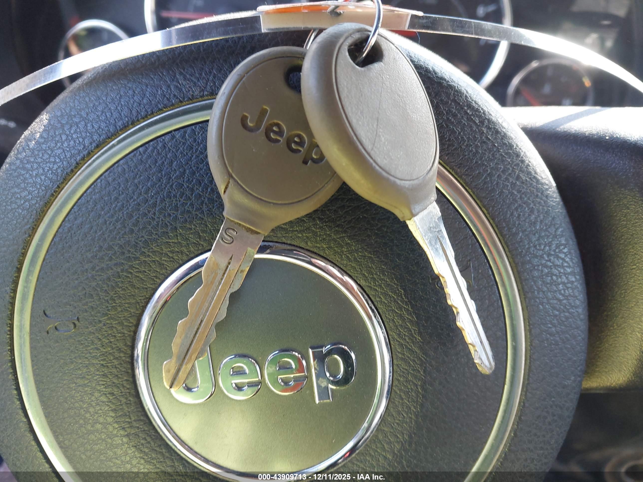JEEP WRANGLER image 11