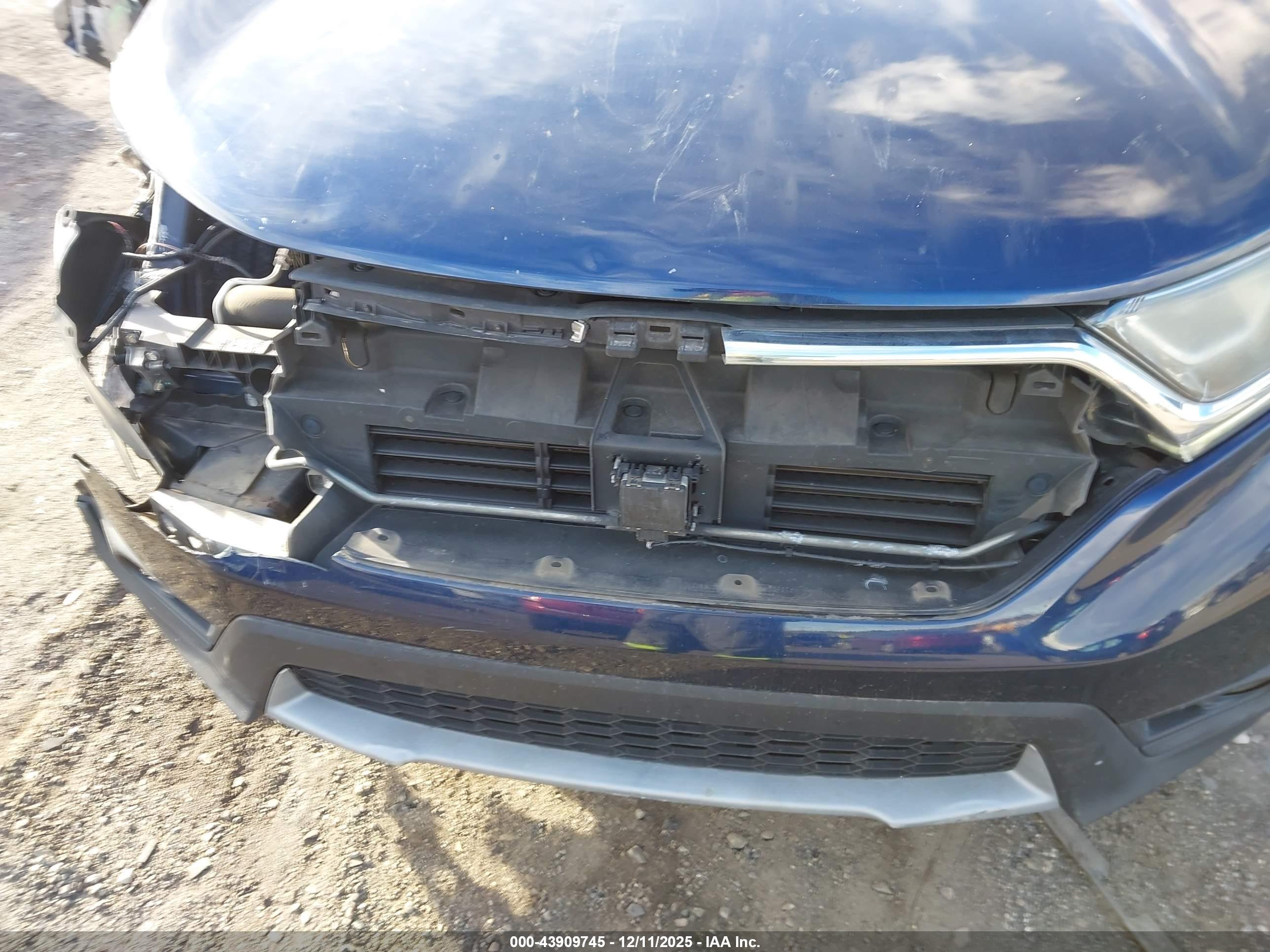 HONDA CR-V image 6