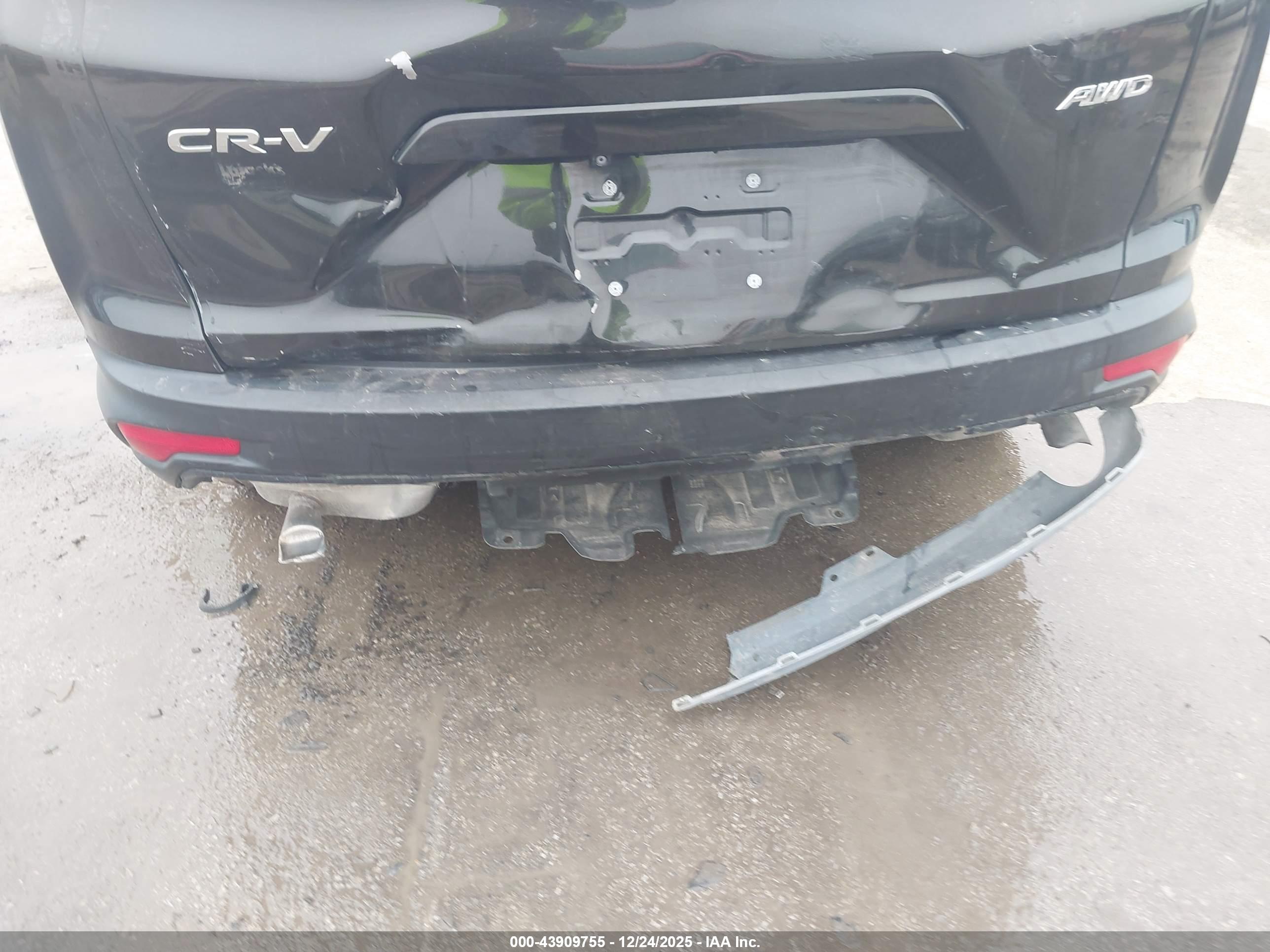 HONDA CR-V image 6