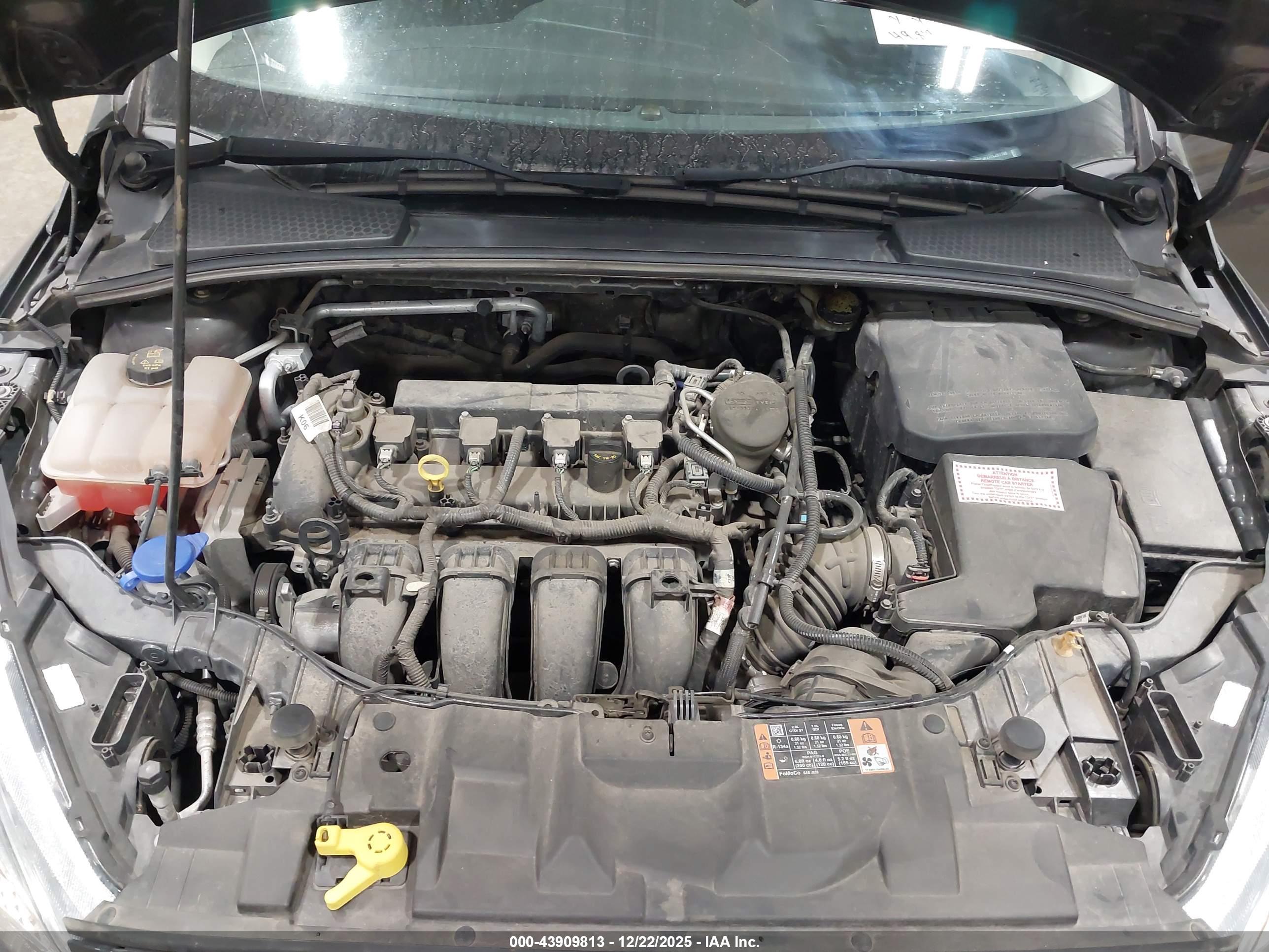 FORD FOCUS image 10