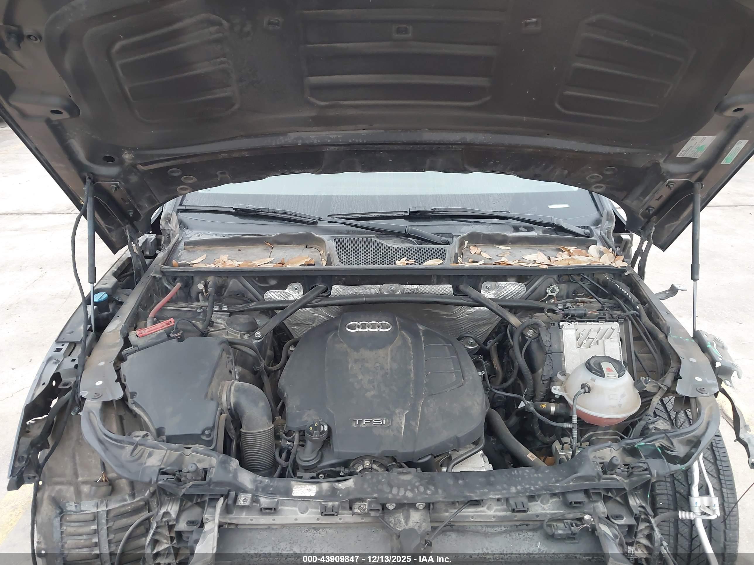 AUDI Q5 image 10
