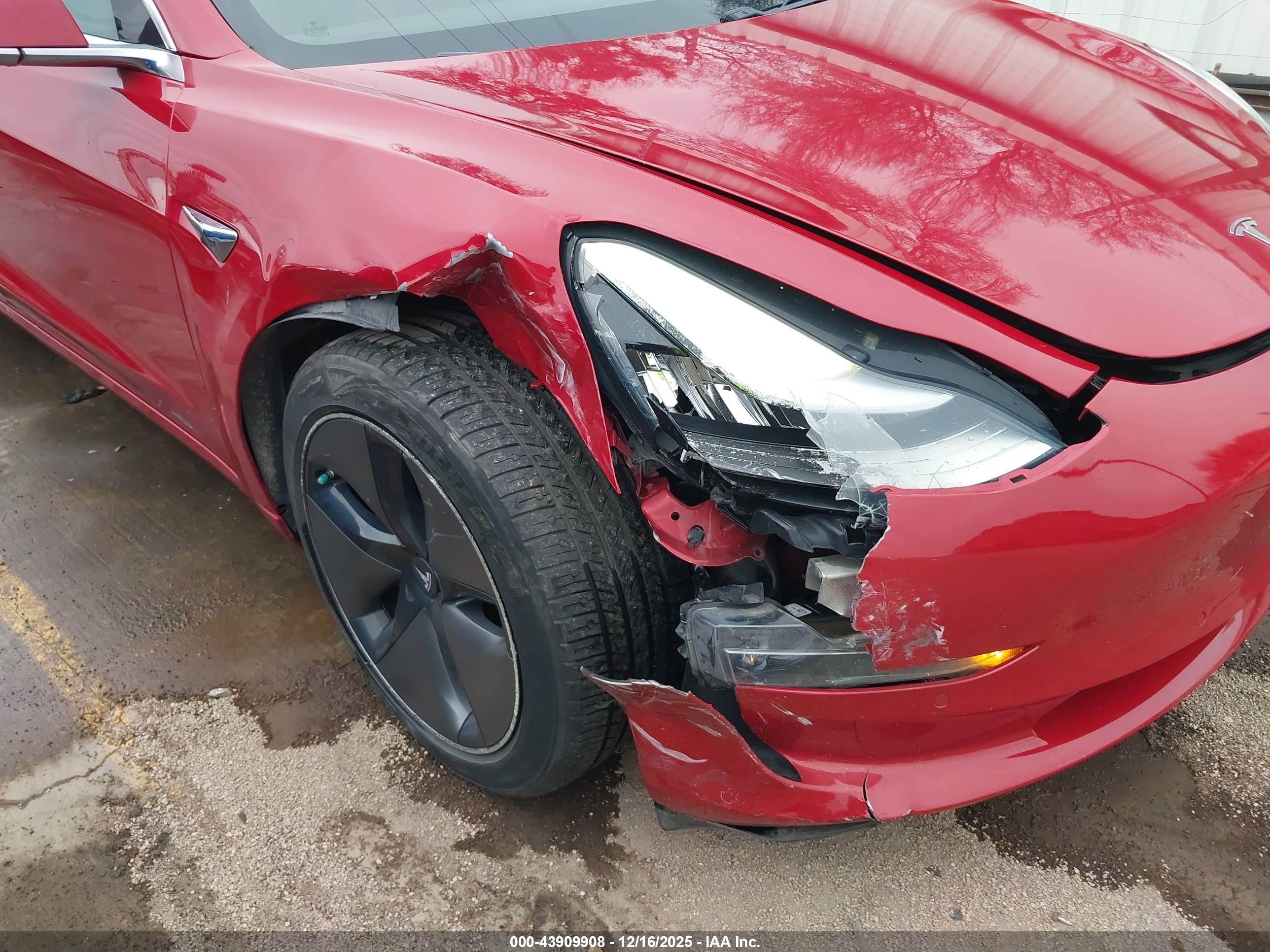TESLA MODEL image 6