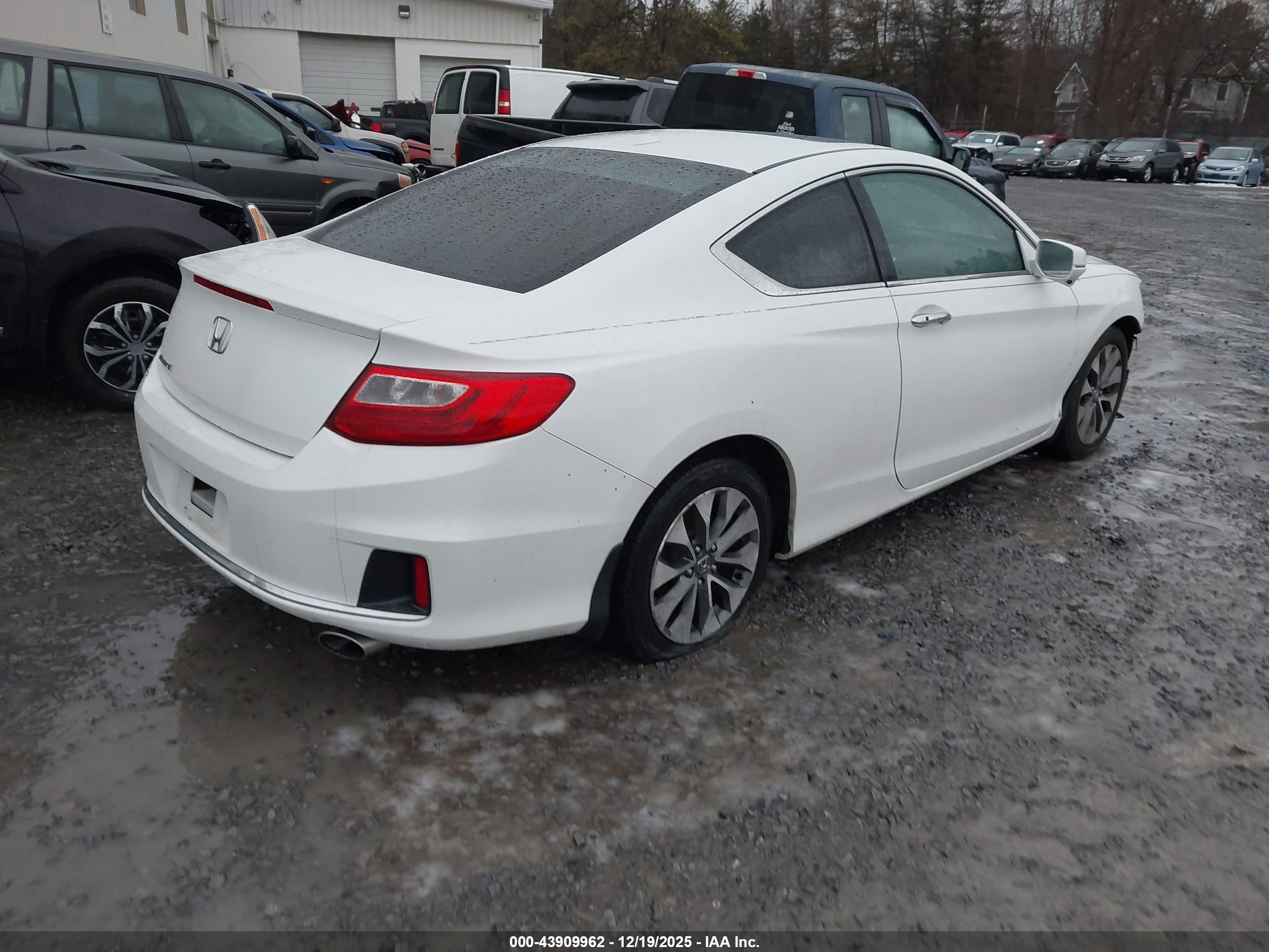 HONDA ACCORD image 4