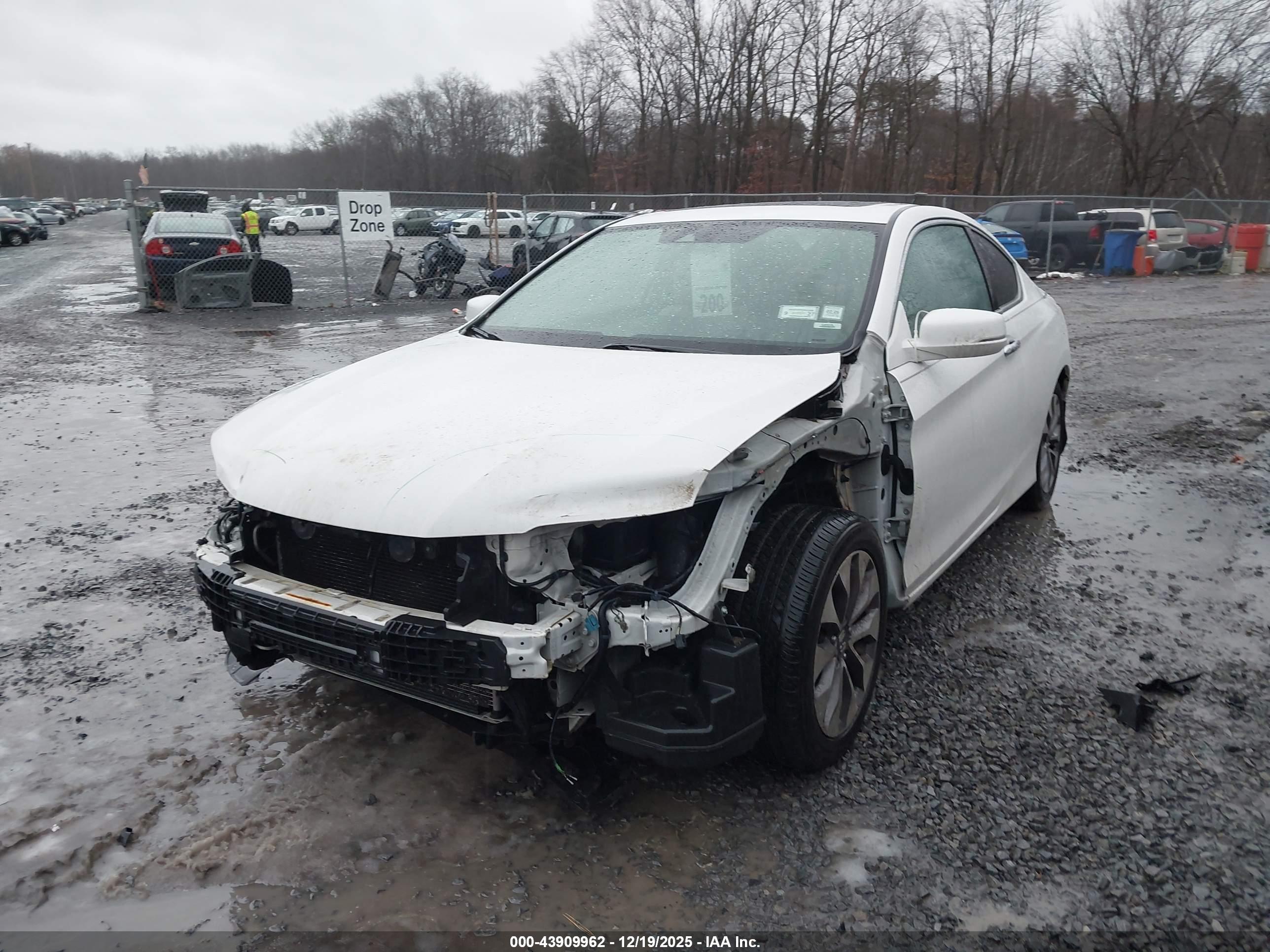 HONDA ACCORD image 6