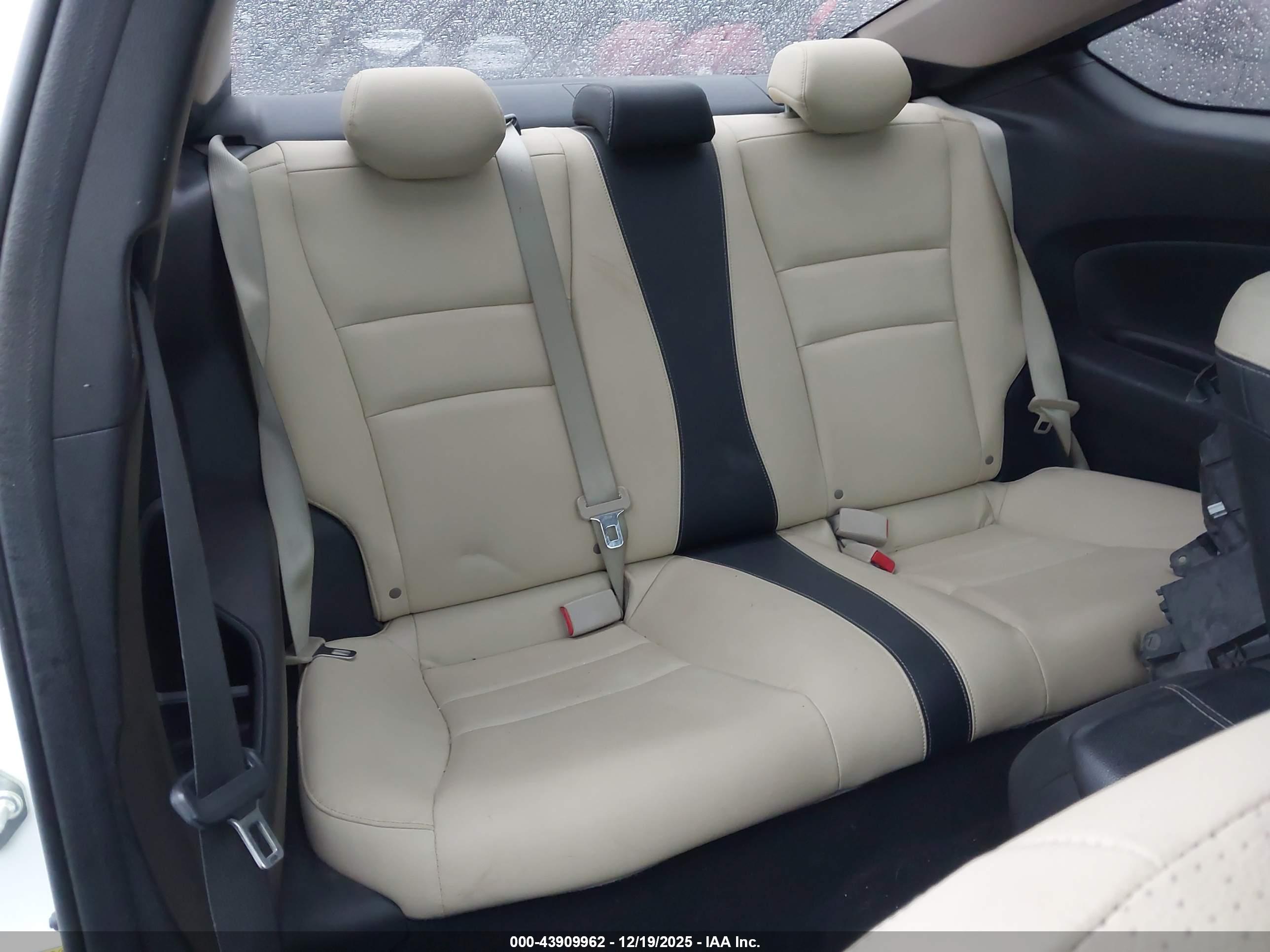 HONDA ACCORD image 8