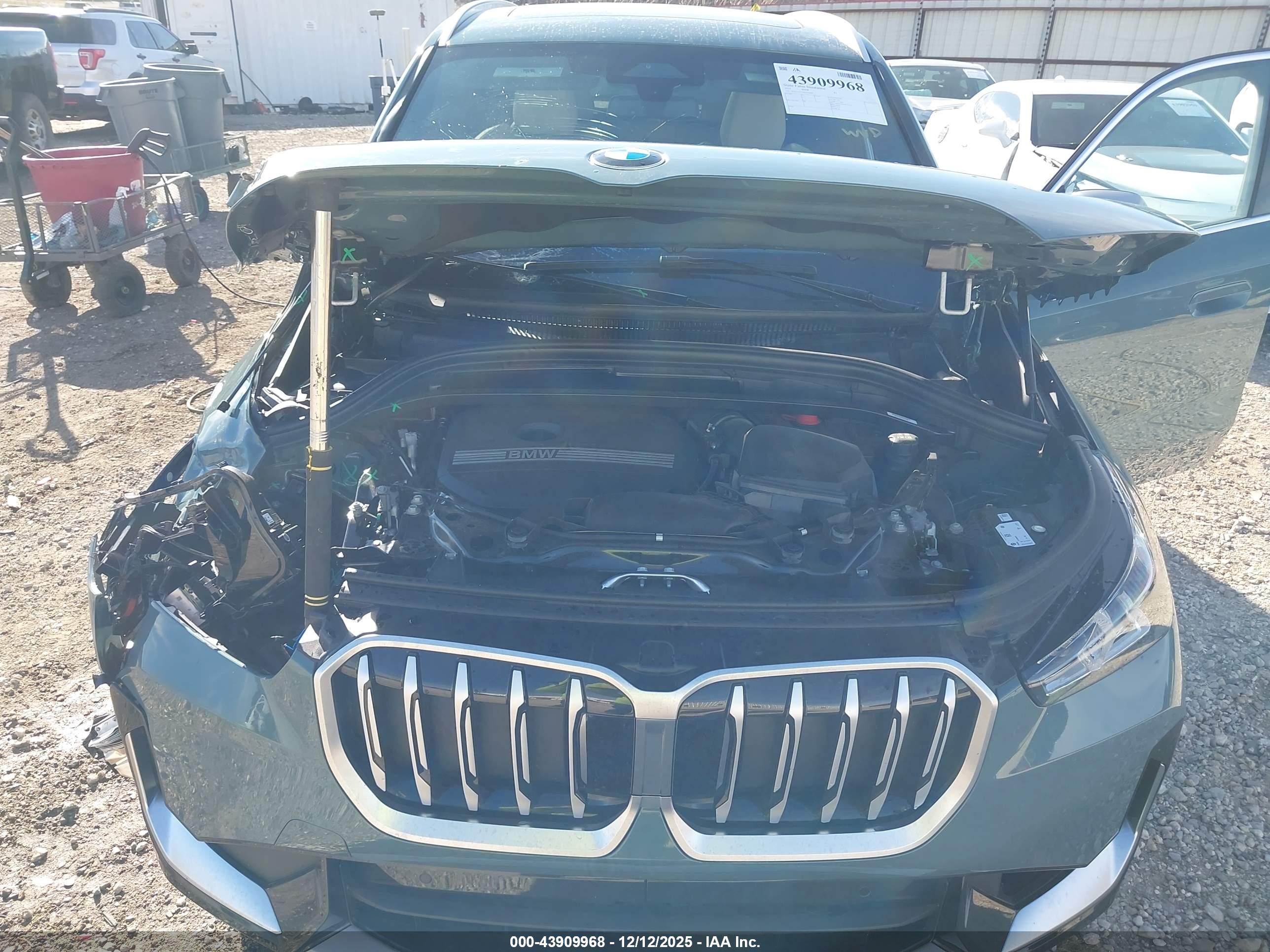 BMW X1 image 10
