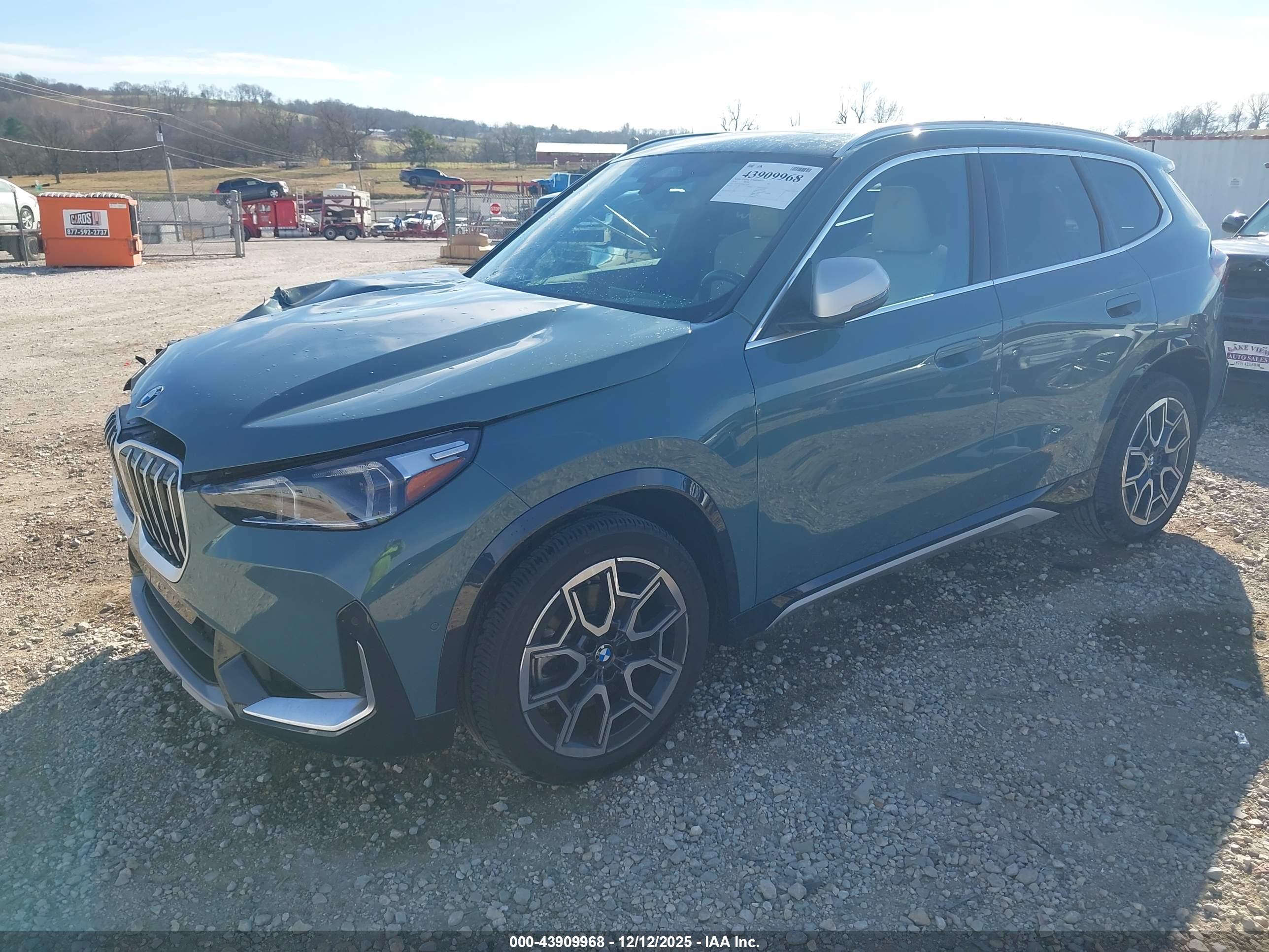 BMW X1 image 2