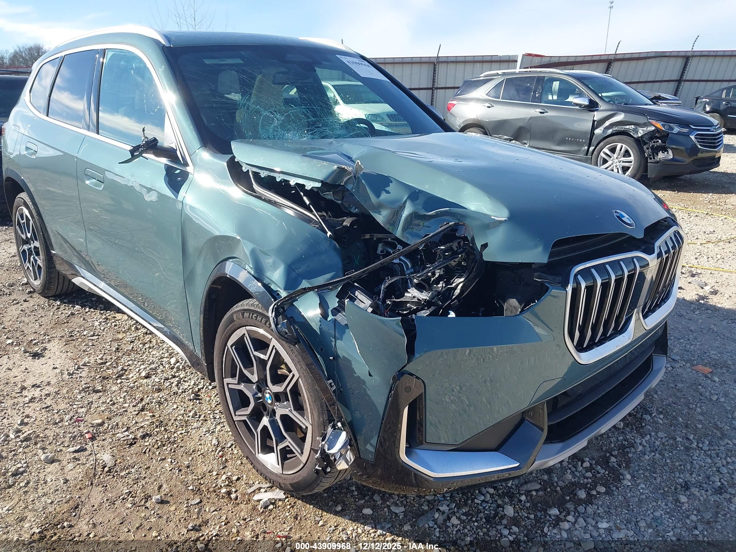 BMW X1 image 6