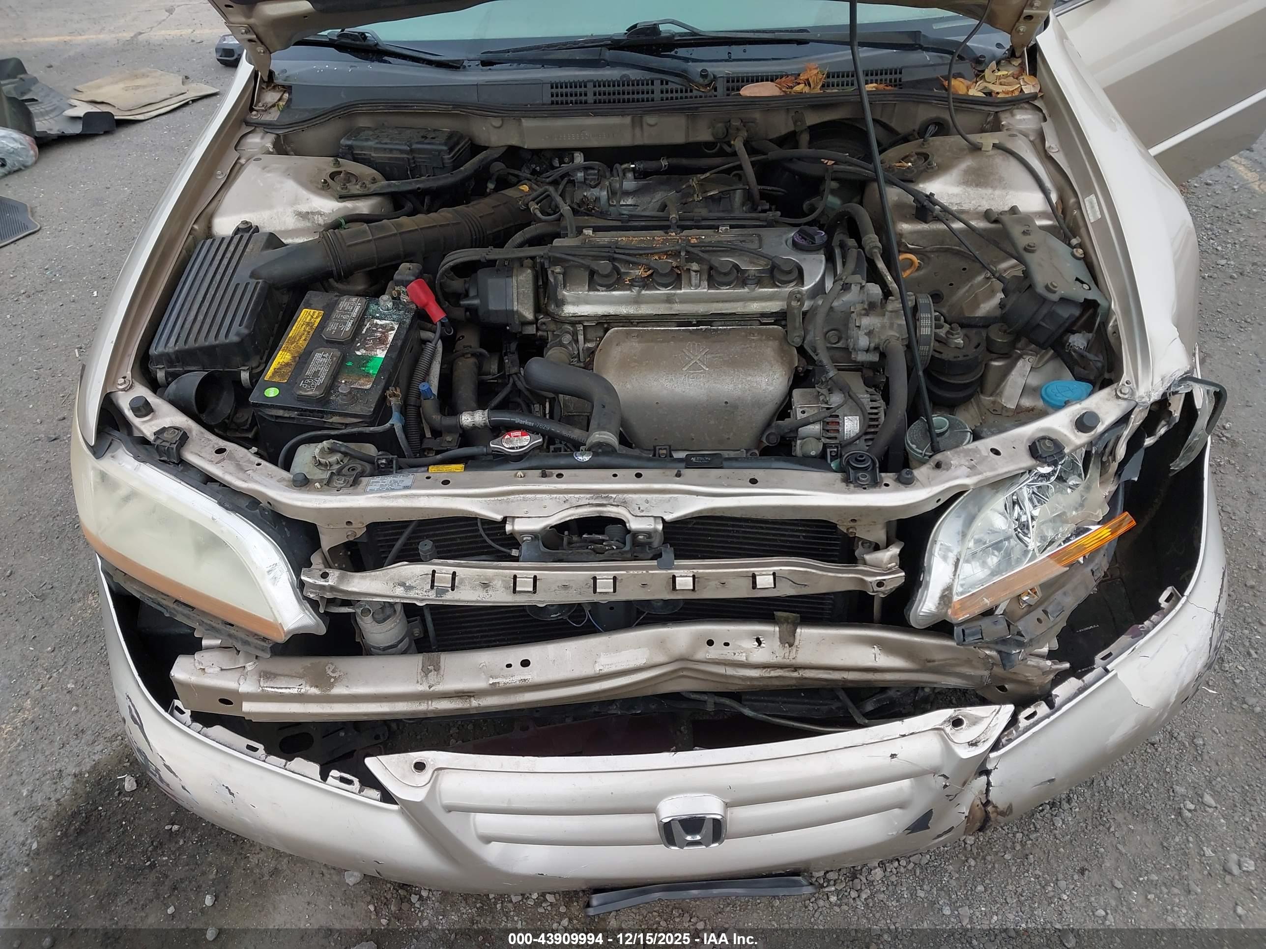 HONDA ACCORD image 10
