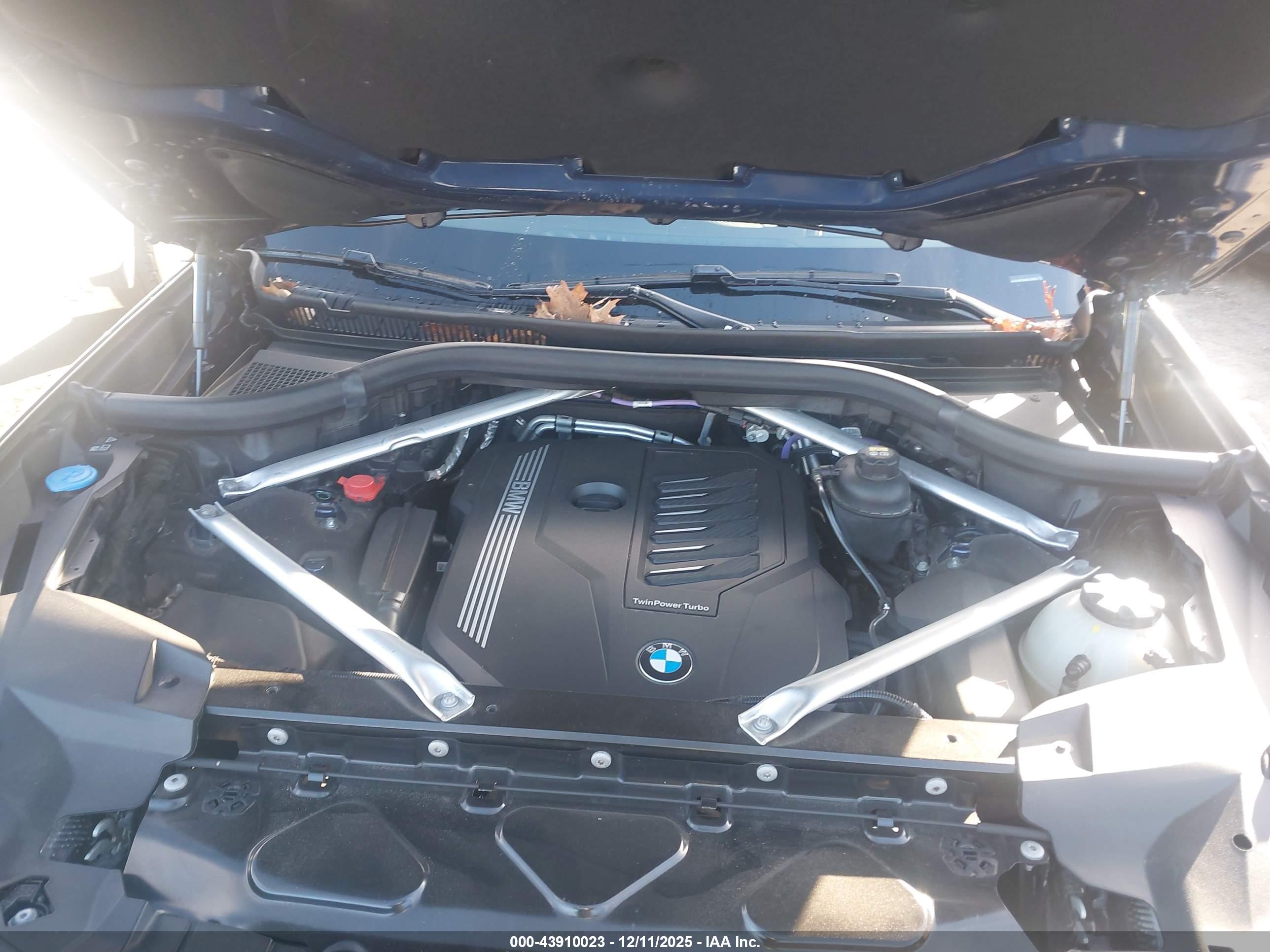 BMW X7 image 10